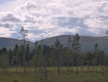 Ferienhaus Tunturitupa kuolpuna