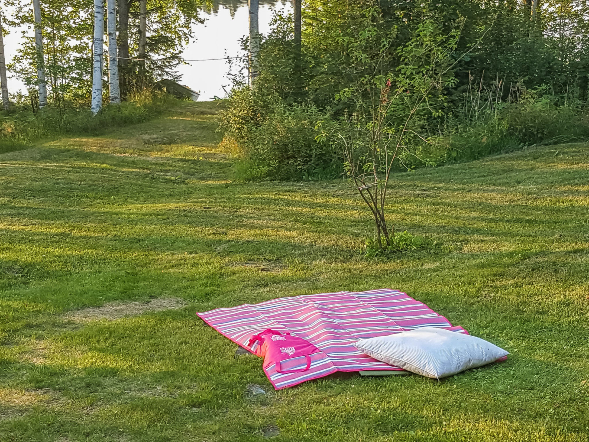 Mäntyniemi - Dedans