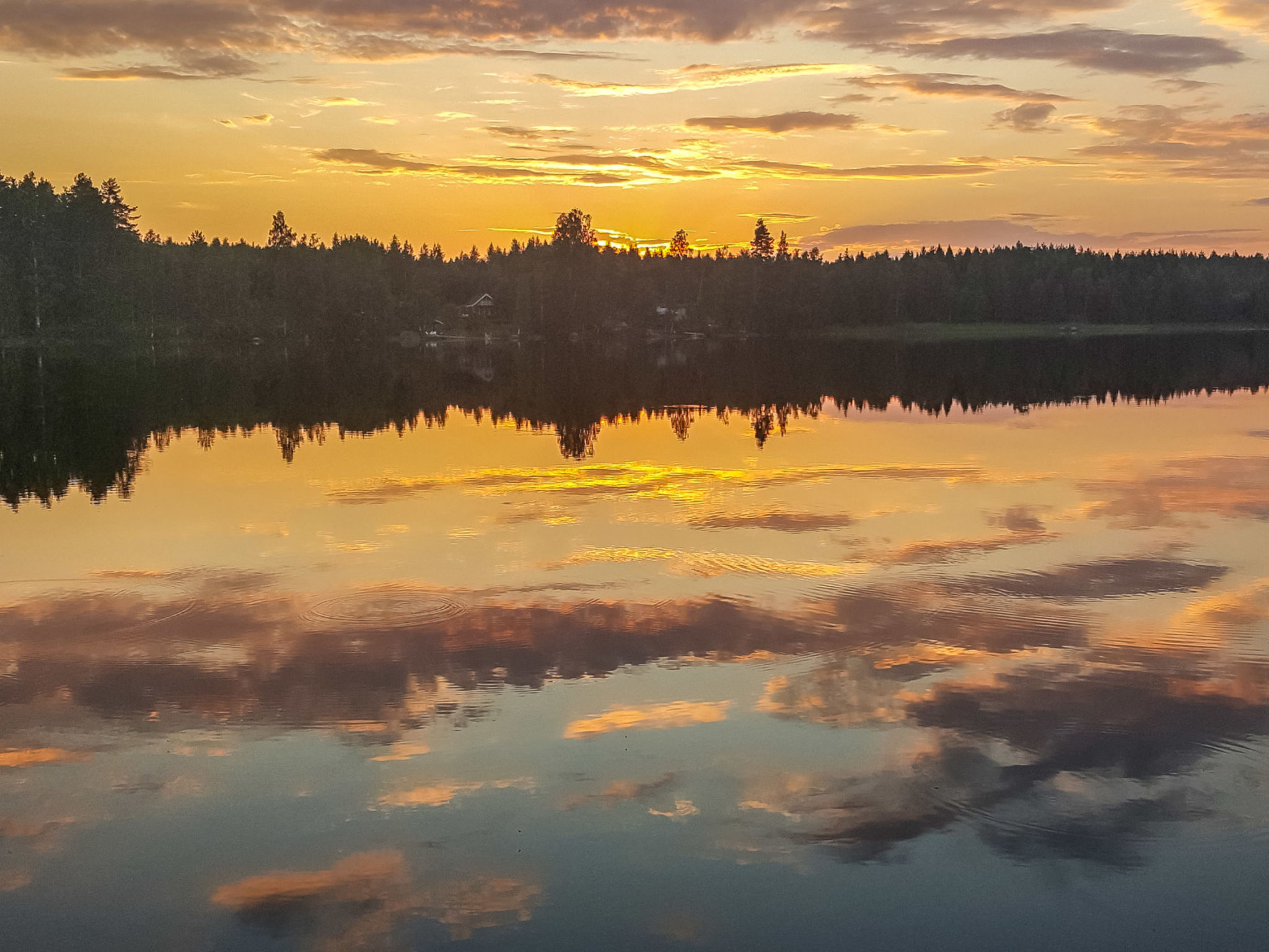 Mäntyniemi