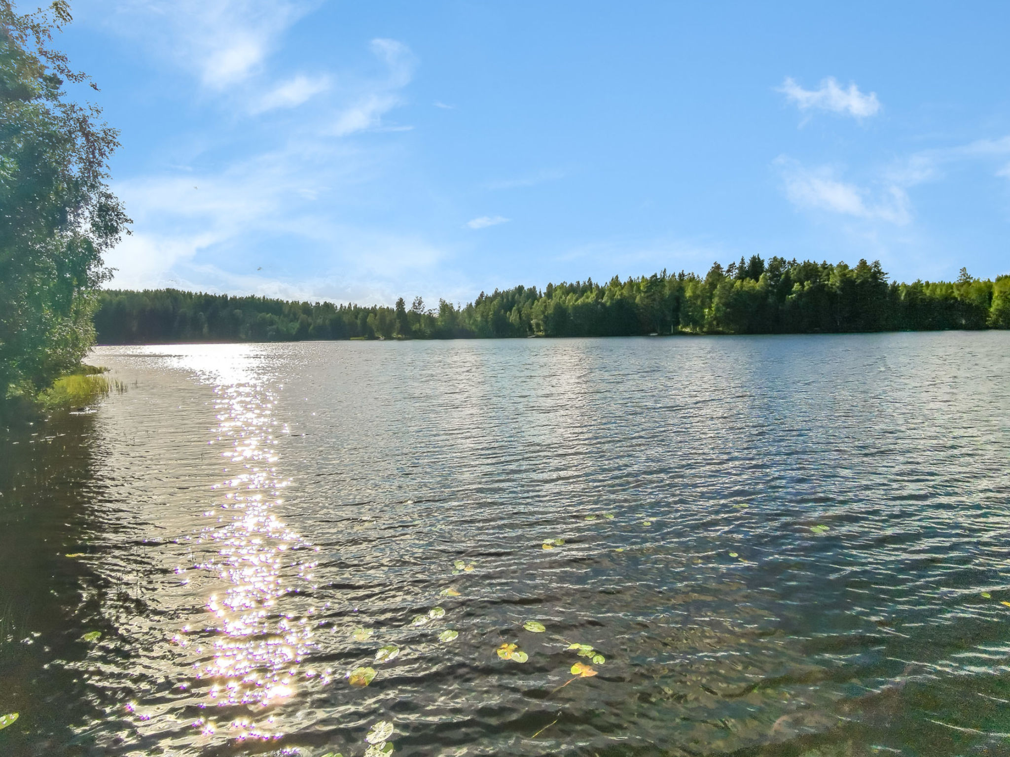 Mäntyniemi