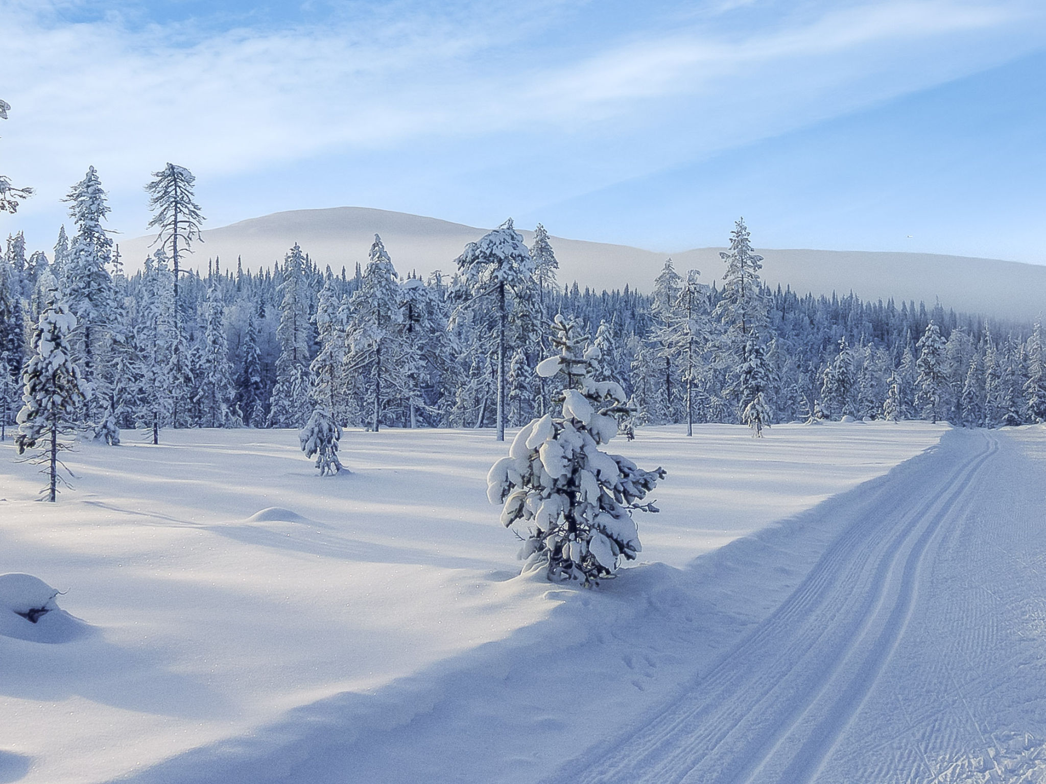 Yllästar 3 as 601-Binnen