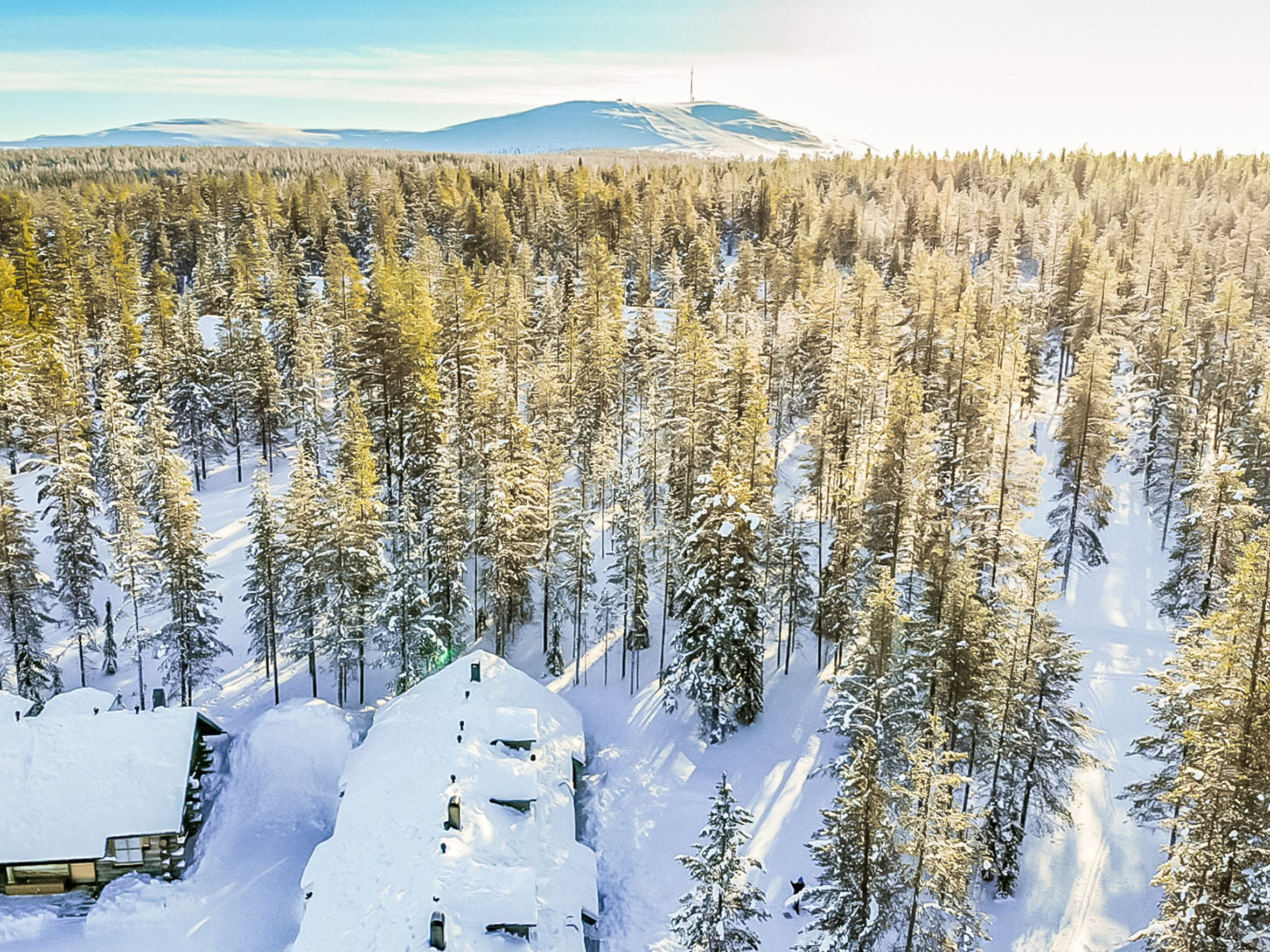 Teerentie / fun / dasher-Binnen