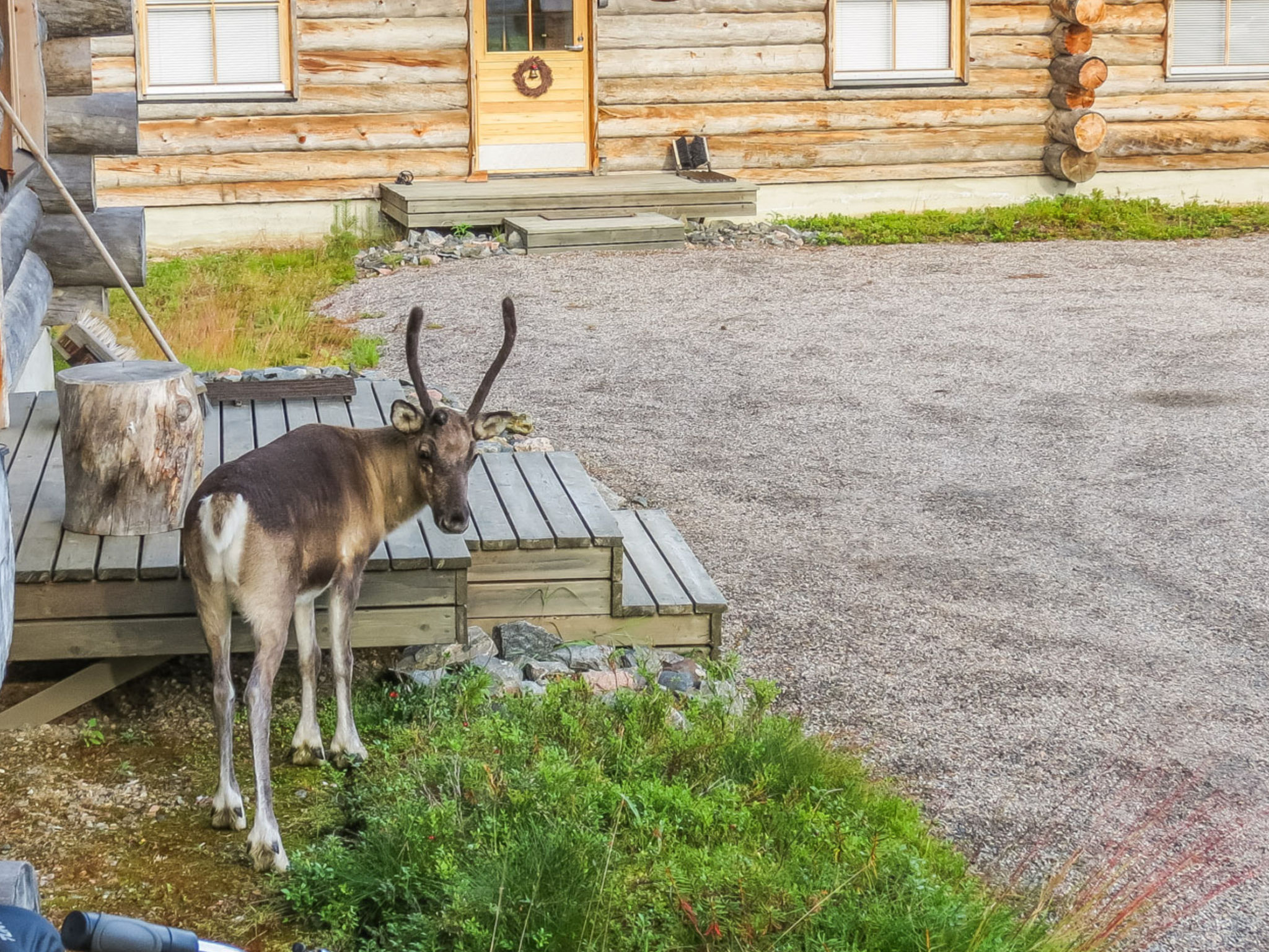 Teerentie / fun / dasher-Binnen