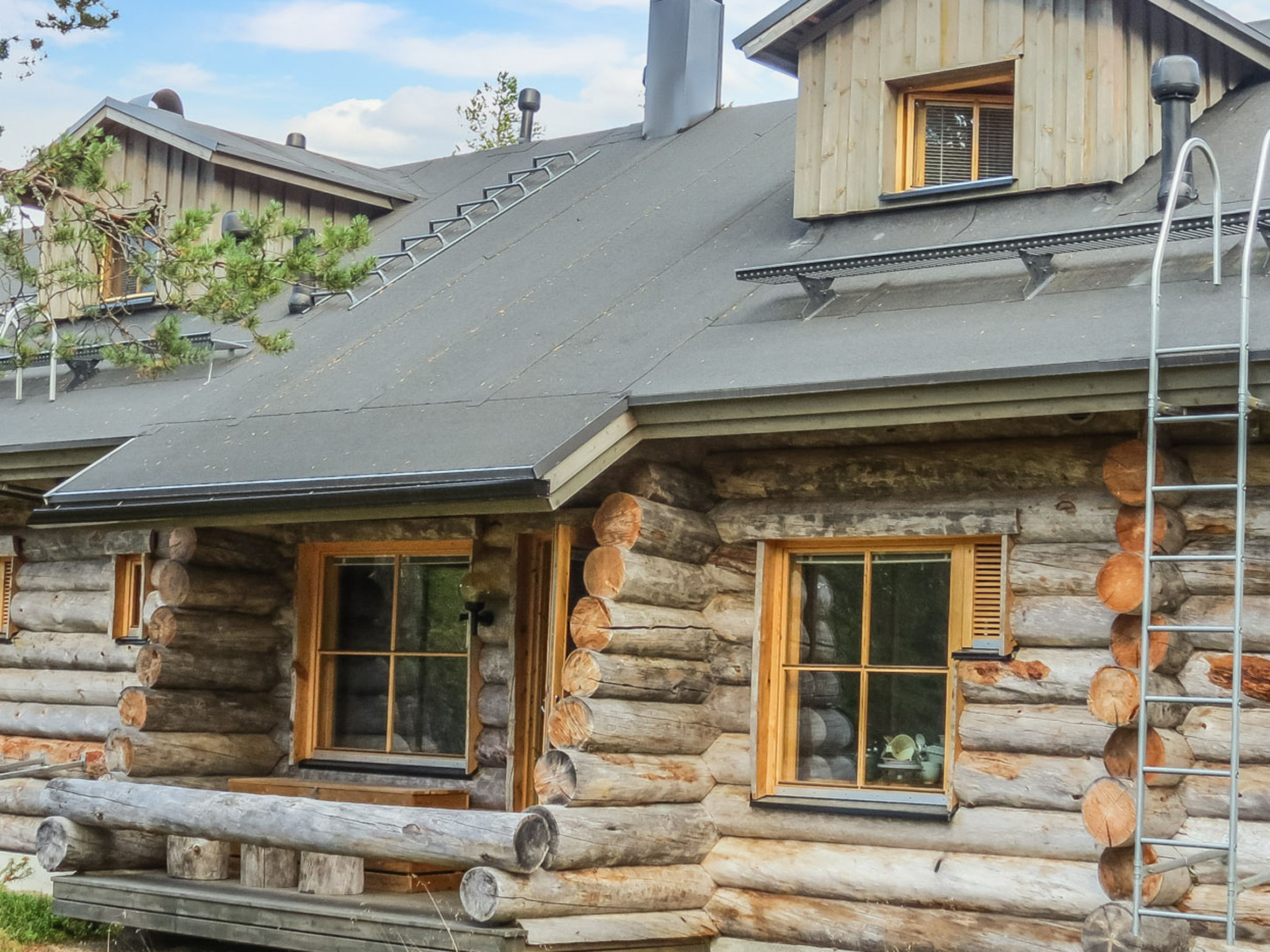 Teerentie / fun / dasher-Binnen