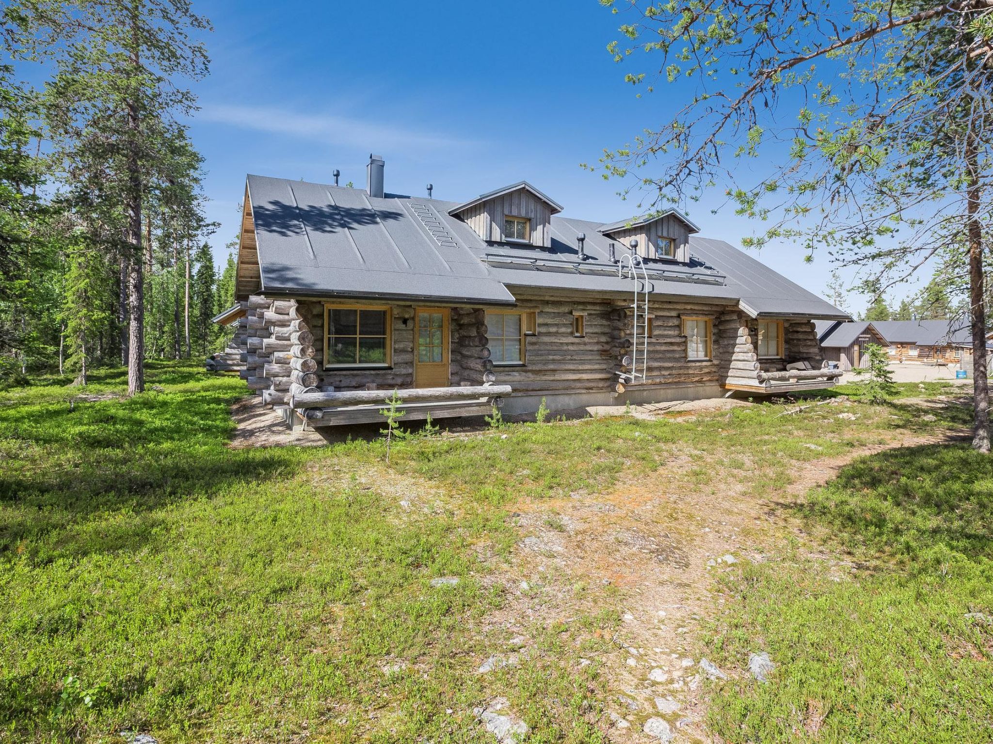 Teerentie / poronpesä (g20)-Binnen