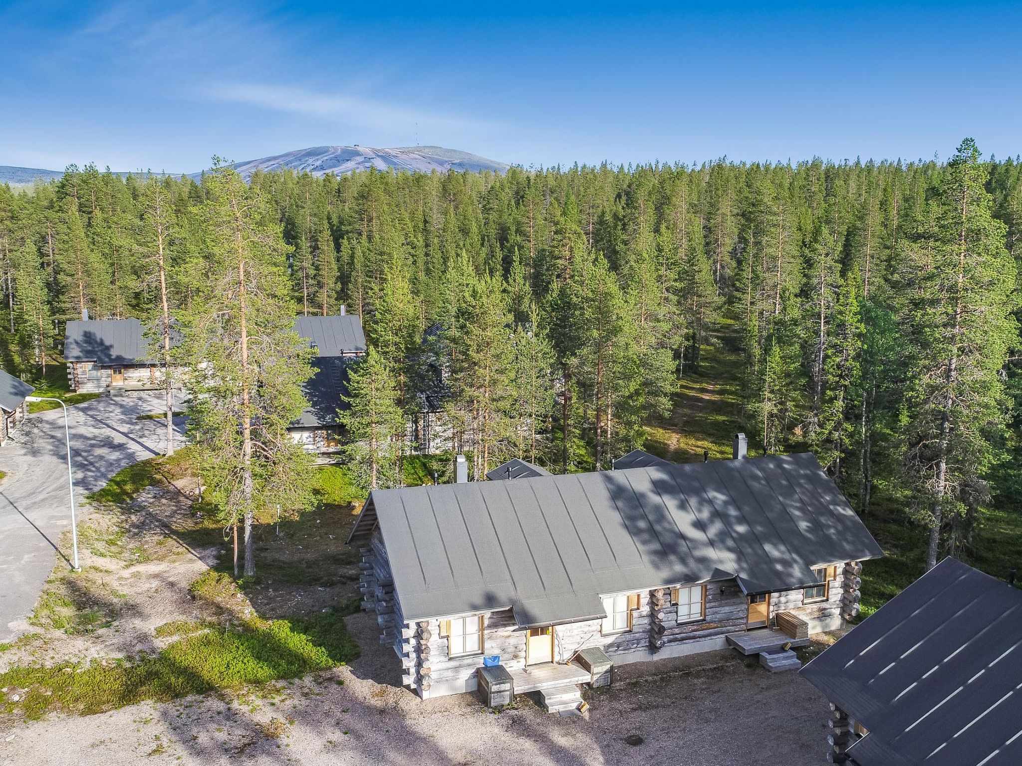 Teerentie / poronpesä (g20)-Binnen