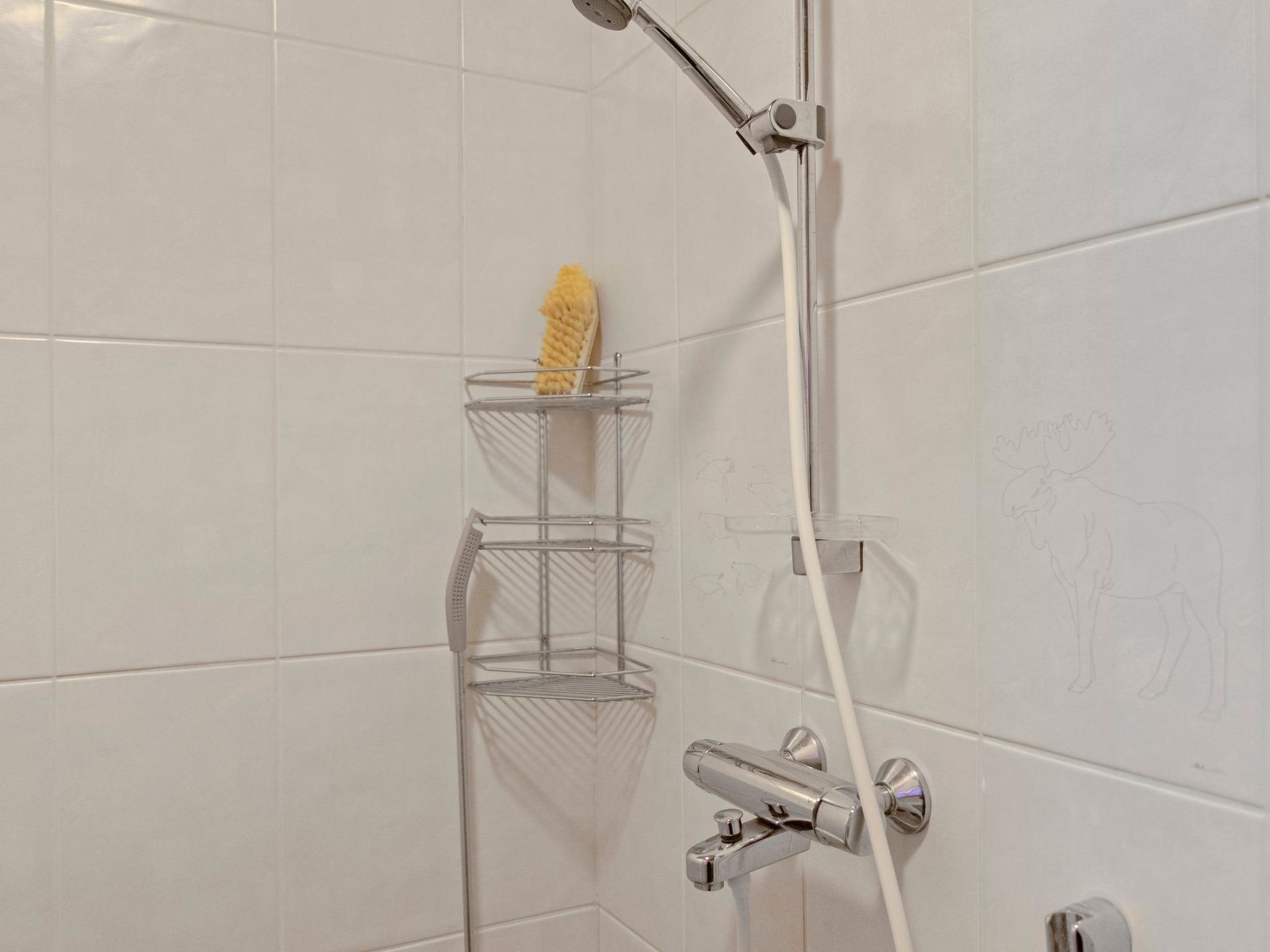 Tunturitähti-Inside