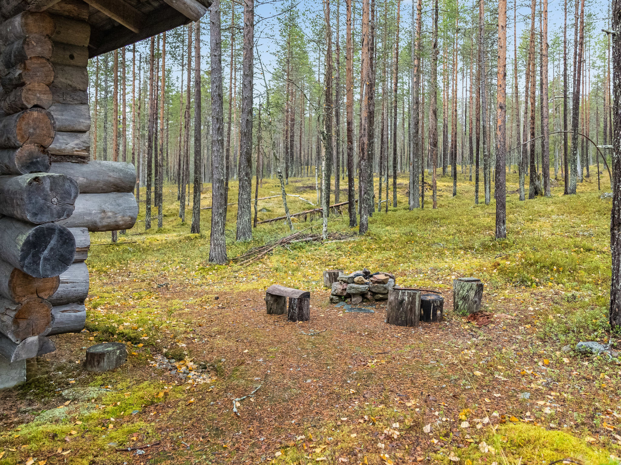 Ylläsnäkyy 7 / karkelo