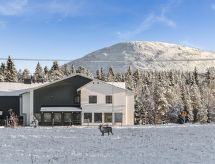 Lapland happiness / skistar 201