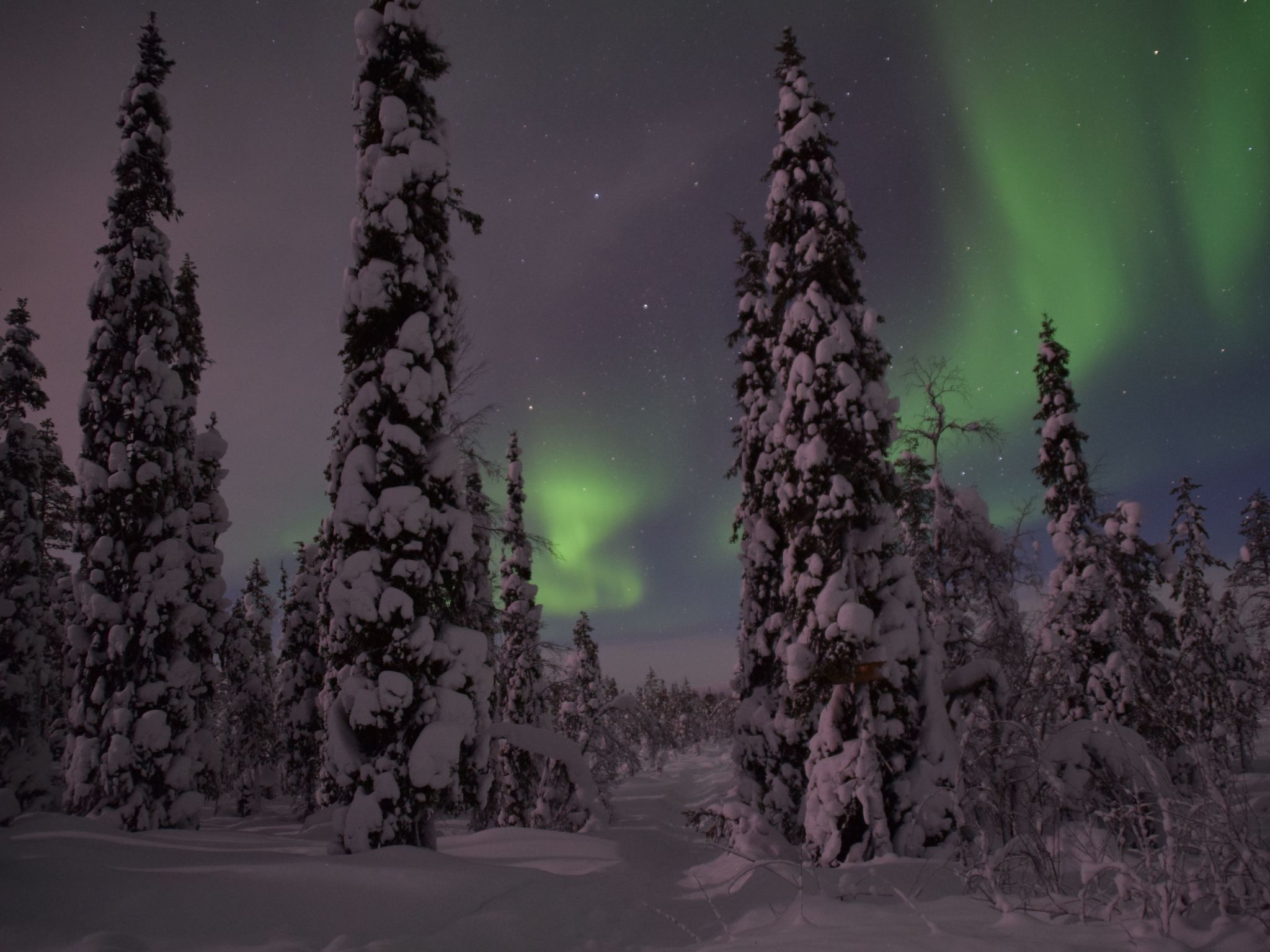 Iltarusko-Image-tags.info