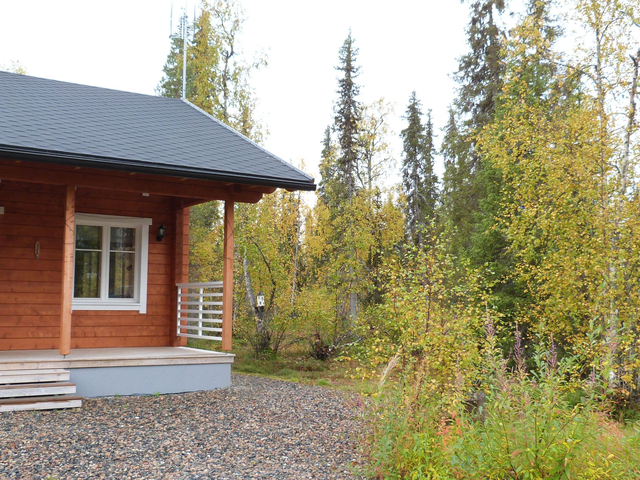 Iltarusko-Image-tags.info