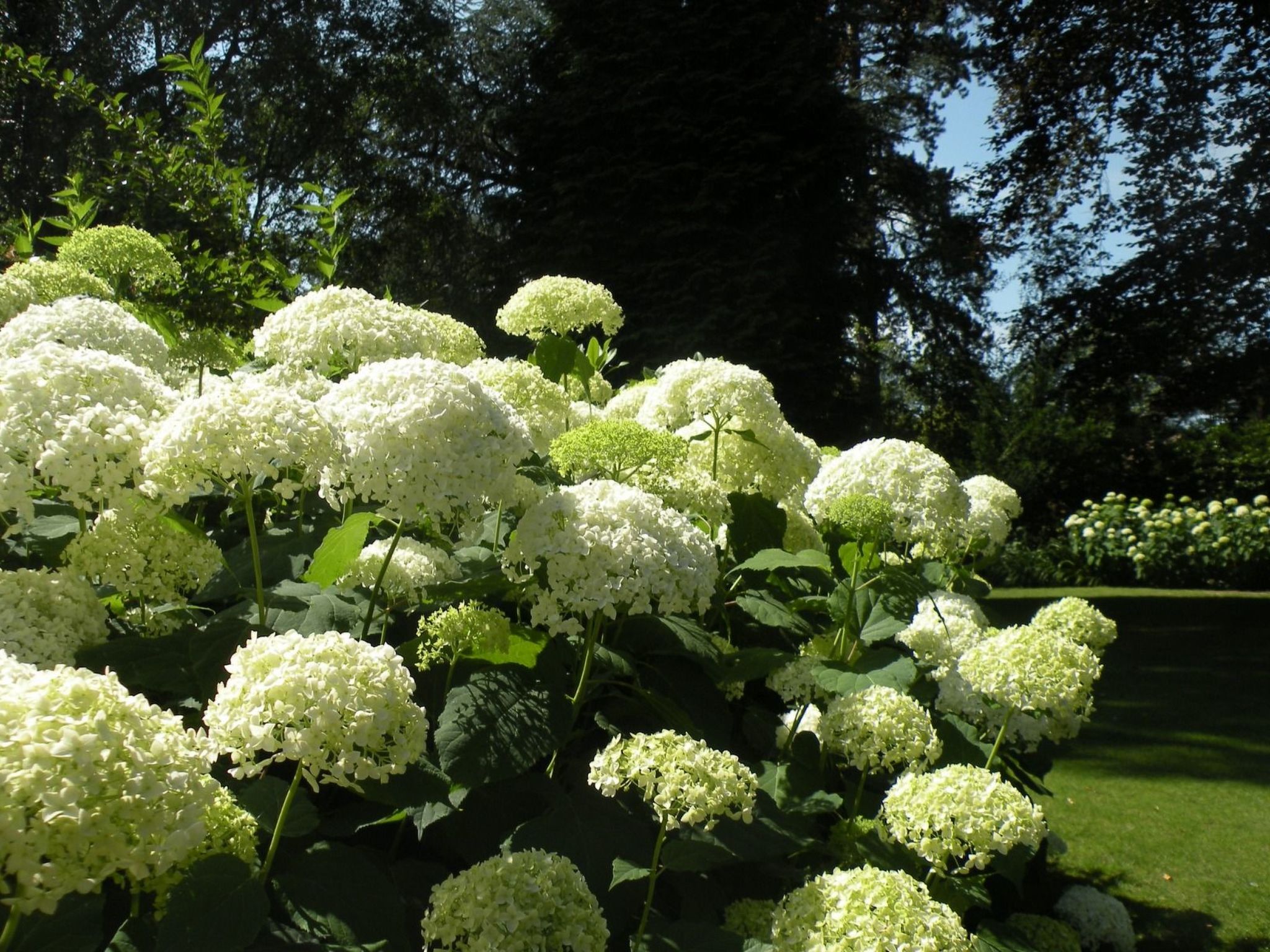 Cottage "La Conciergerie" (Hausmeister)-Image-tags.info