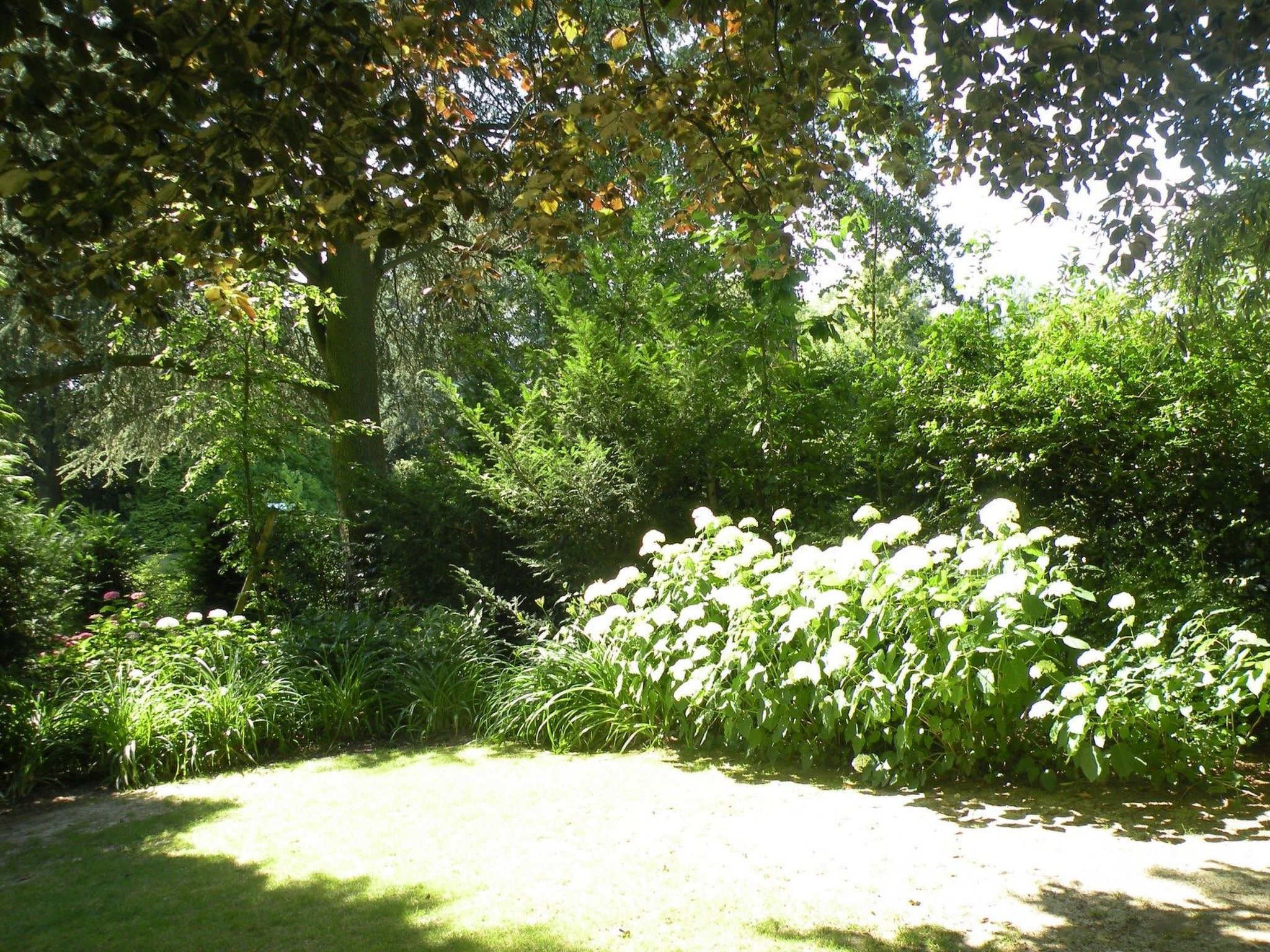 Cottage "La Conciergerie" (Hausmeister)-Dehors