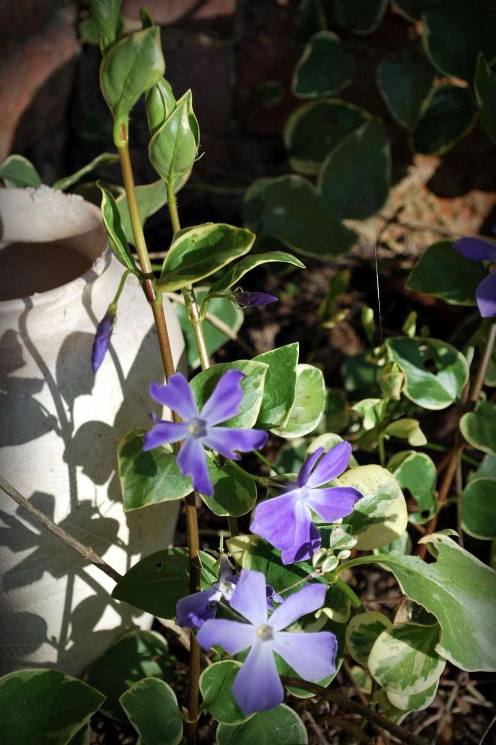 Liebevoll renoviertes Ferienhaus als Teil eines kleinen Bauernhauses mit abgesc-Binnen