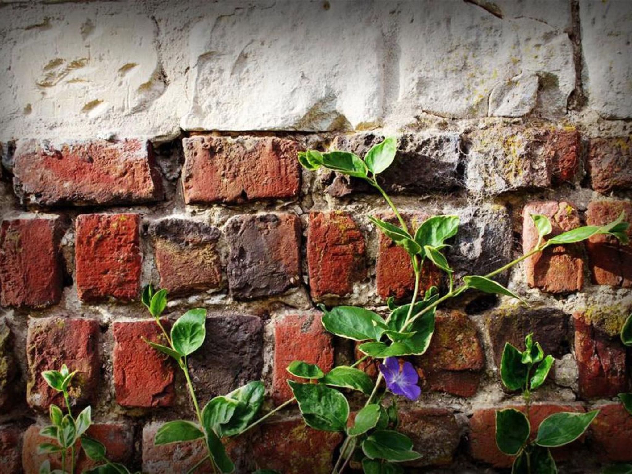 Liebevoll renoviertes Ferienhaus als Teil eines kleinen Bauernhauses mit abgesc-Binnen