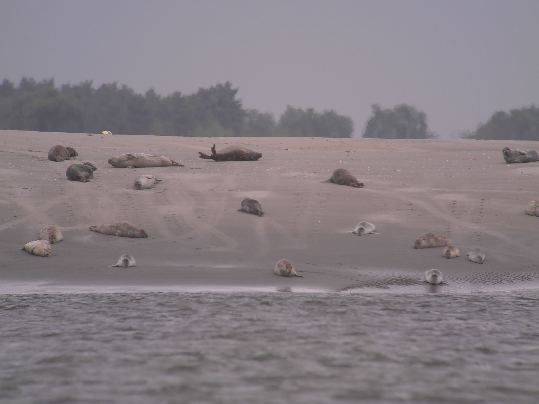 La Grange - alte renovierte Scheune-Dedans