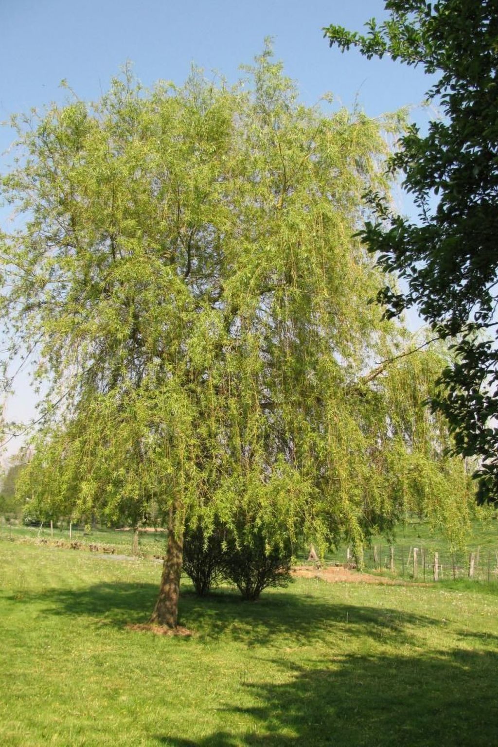 La Bergerie du Festel-Dedans