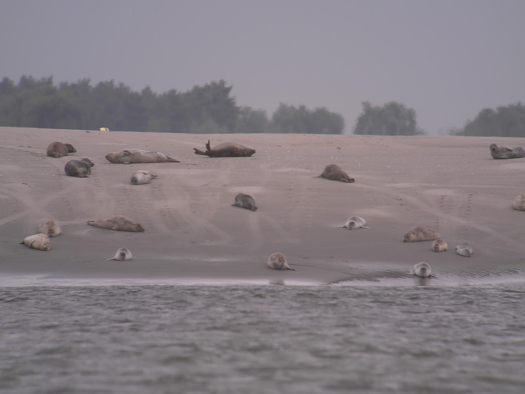 La Bergerie du Festel-Dedans