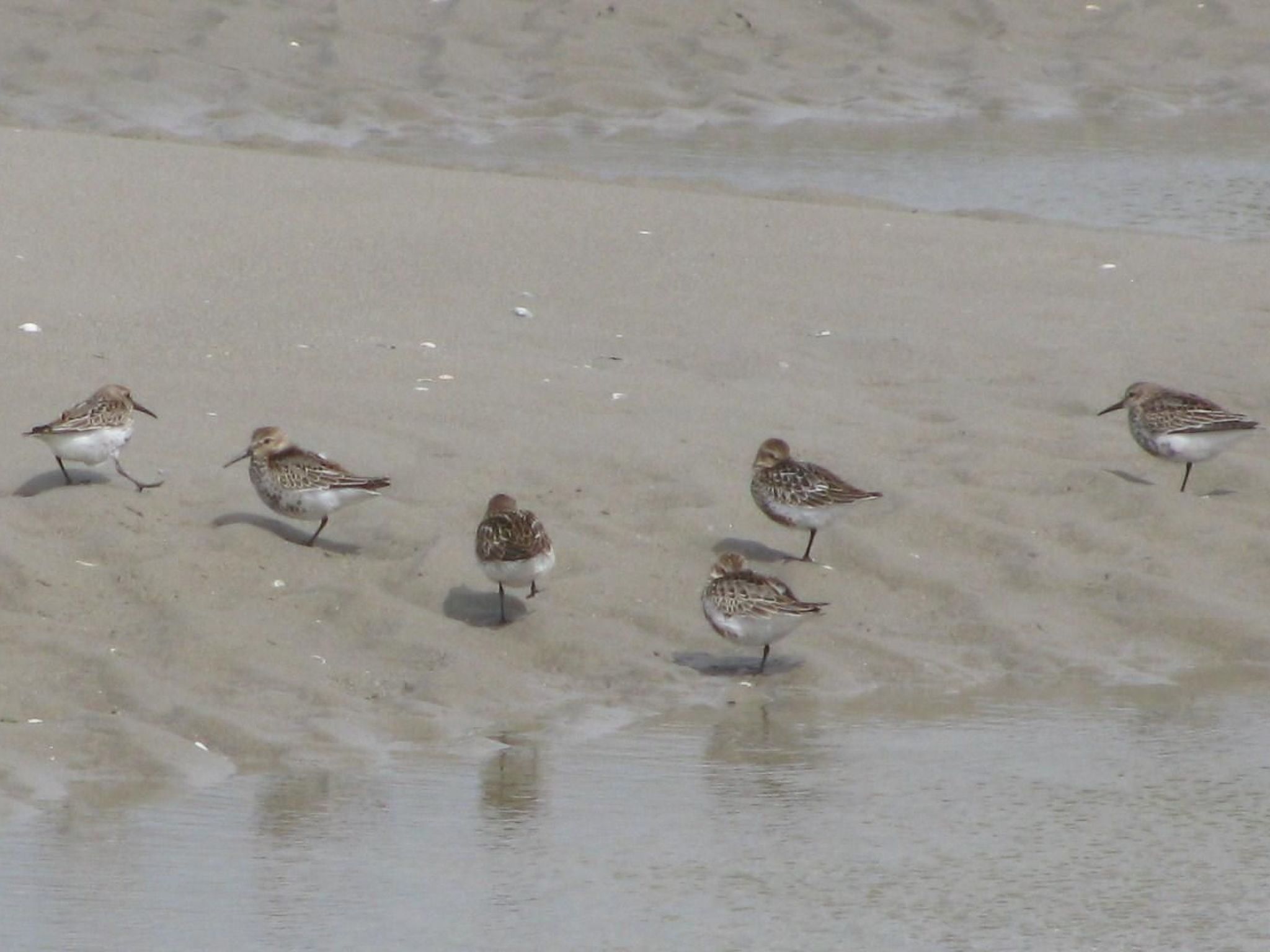 La Bergerie du Festel-Dedans