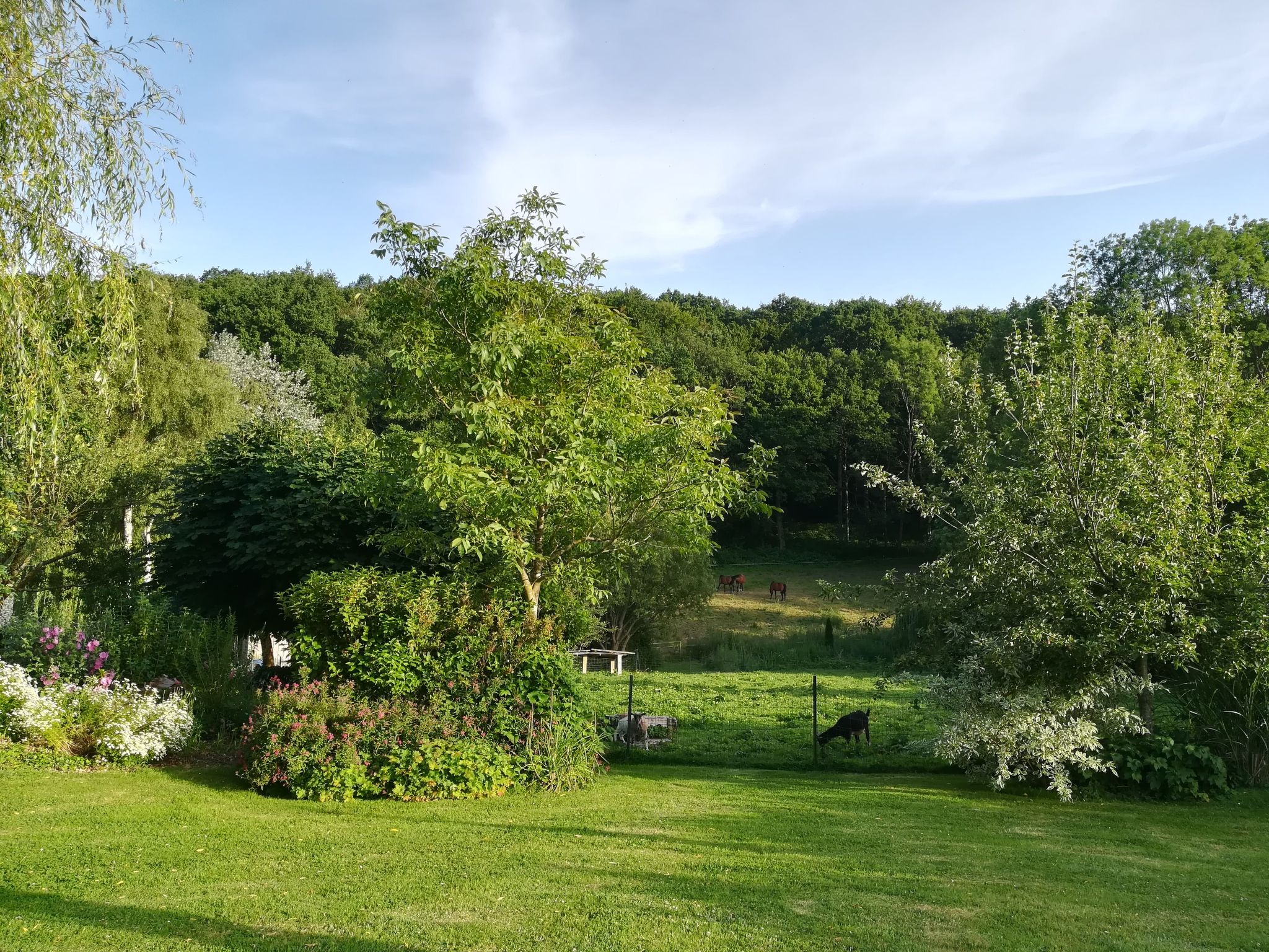 Le Clos du Hêtre-Dehors