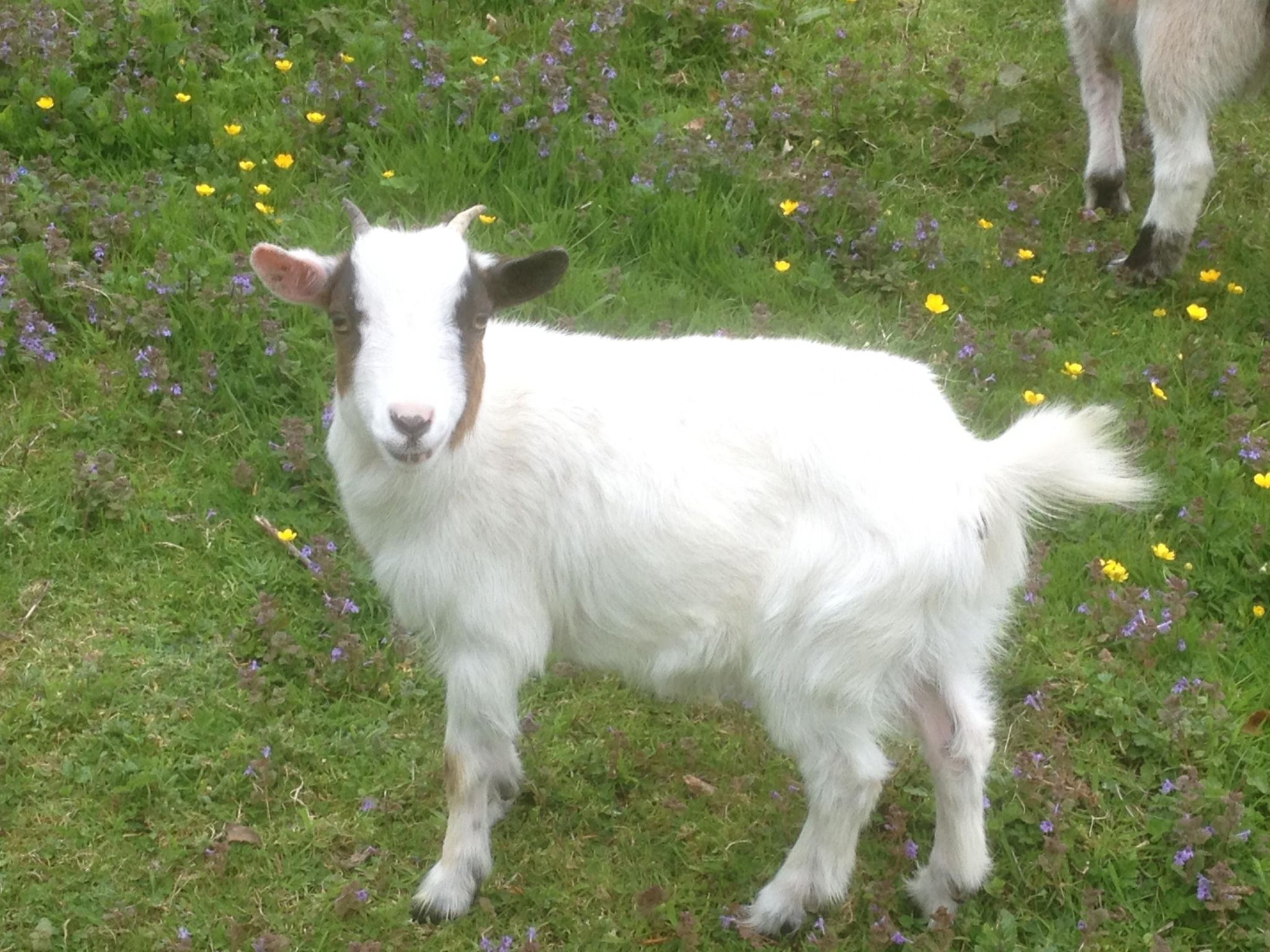 Le Clos du Hêtre-Dehors