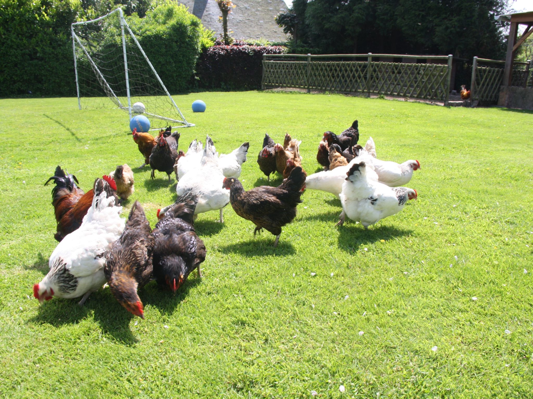 L'Ecurie d'Hubert (Pferdestall)-Image-tags.info