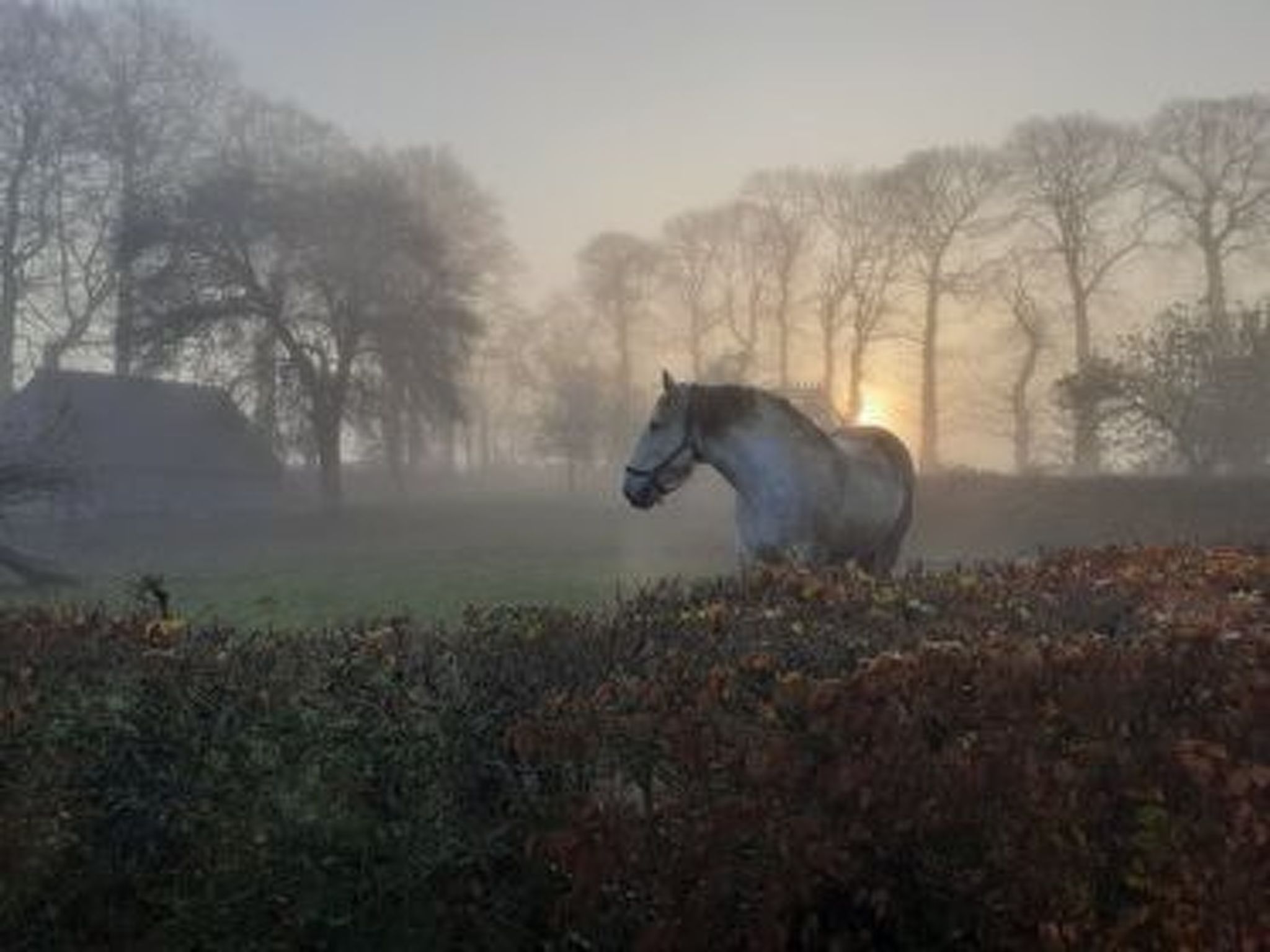Neues normannisches Ferienhaus mit Charme die Kastanienbäume-Binnen