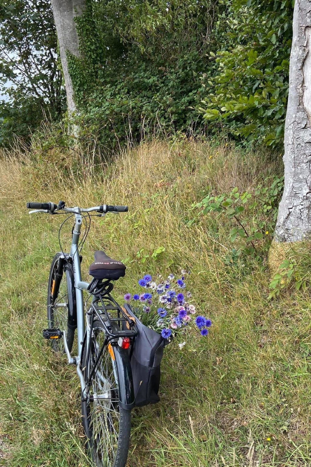 Neues normannisches Ferienhaus mit Charme die Kastanienbäume-Binnen