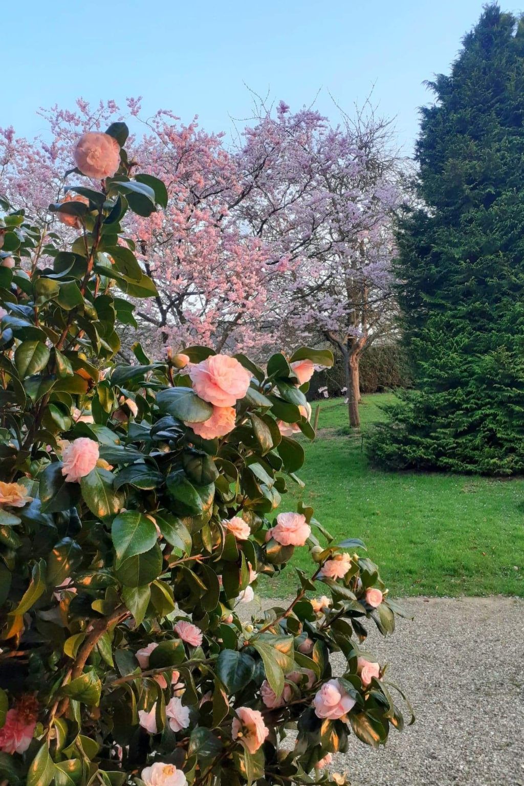 Neues normannisches Ferienhaus mit Charme die Kastanienbäume-Binnen