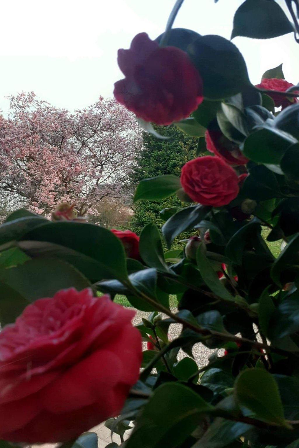 Neues normannisches Ferienhaus mit Charme die Kastanienbäume-Binnen