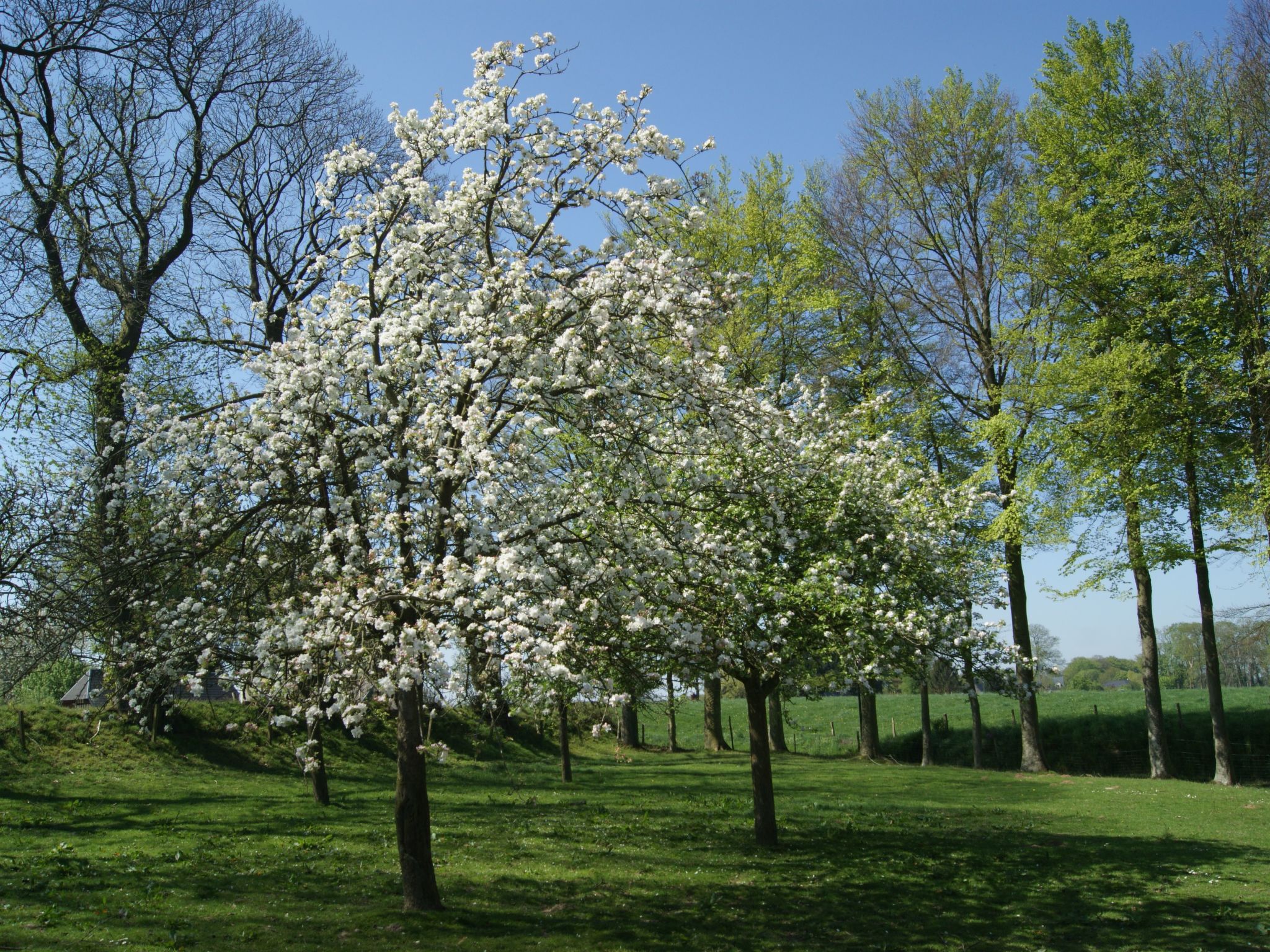 Normannisches Ferienhaus mit Charme les châtaigniers 1 Zimmer-Binnen