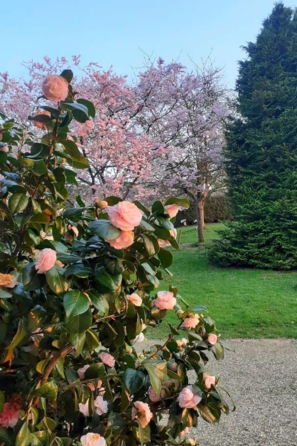 Normannisches Ferienhaus mit Charme les châtaigniers 1 Zimmer-Binnen