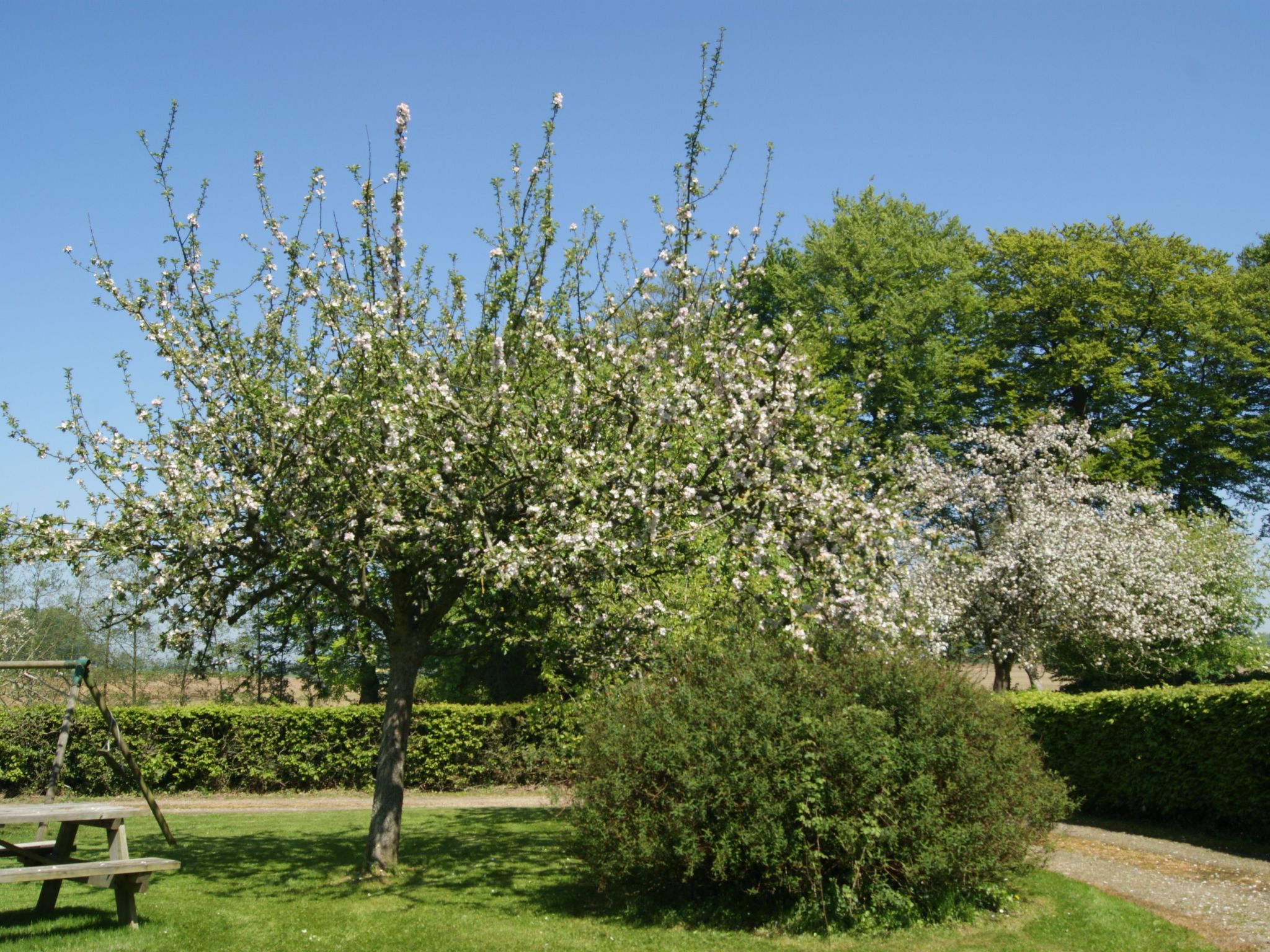 Charmante normannische Ferienwohnung les chataigniers 3 Zimmer-Binnen