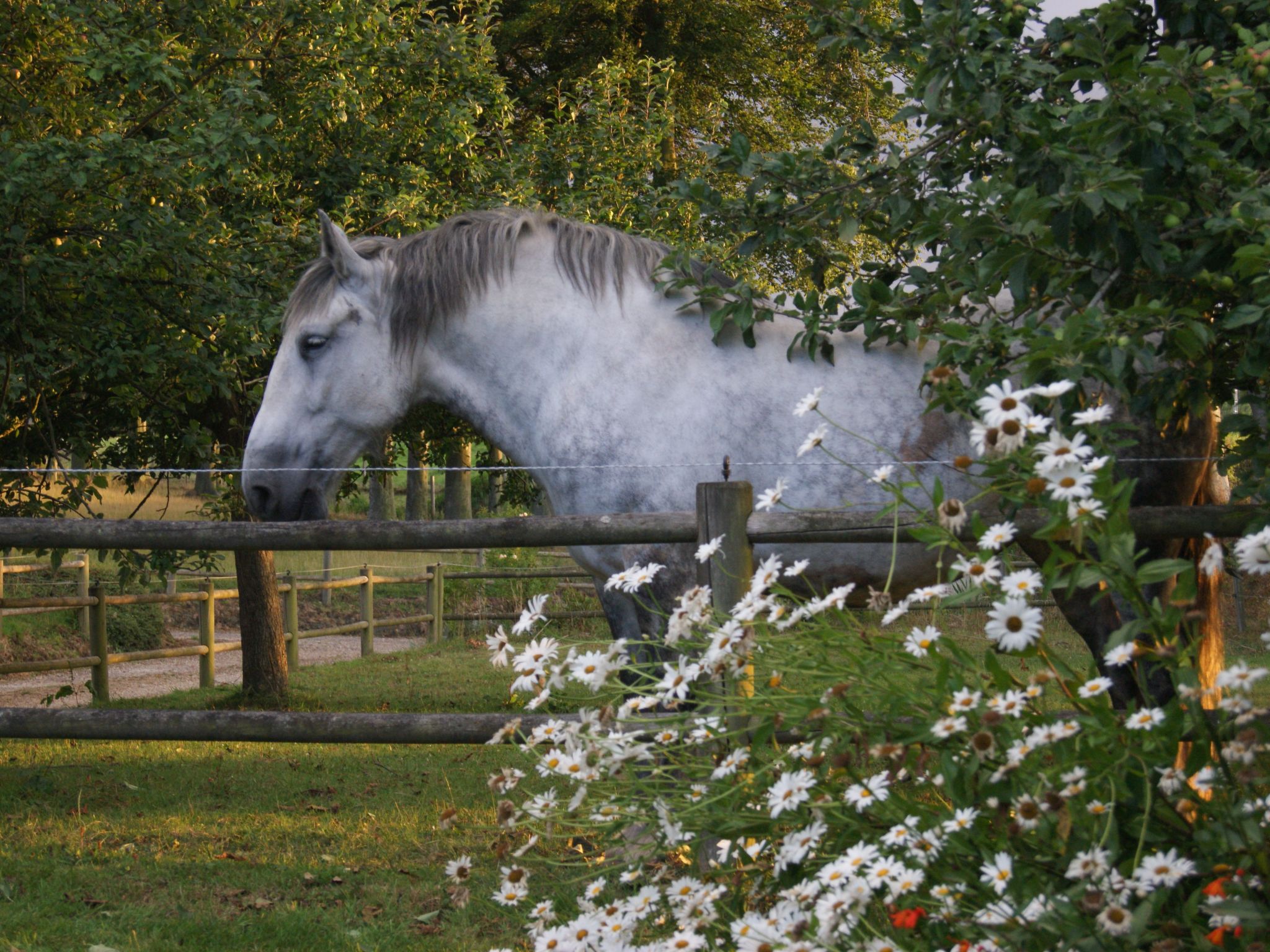 Charmante normannische Ferienwohnung les chataigniers 3 Zimmer-Binnen