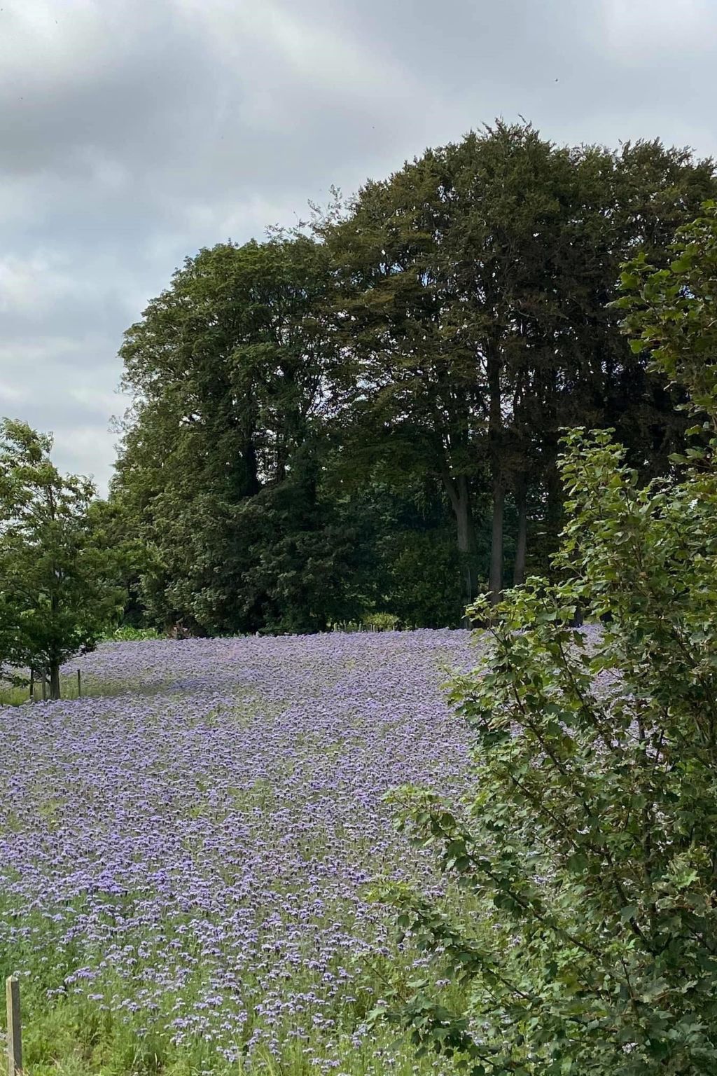 Charmante normannische Ferienwohnung les chataigniers 3 Zimmer-Binnen