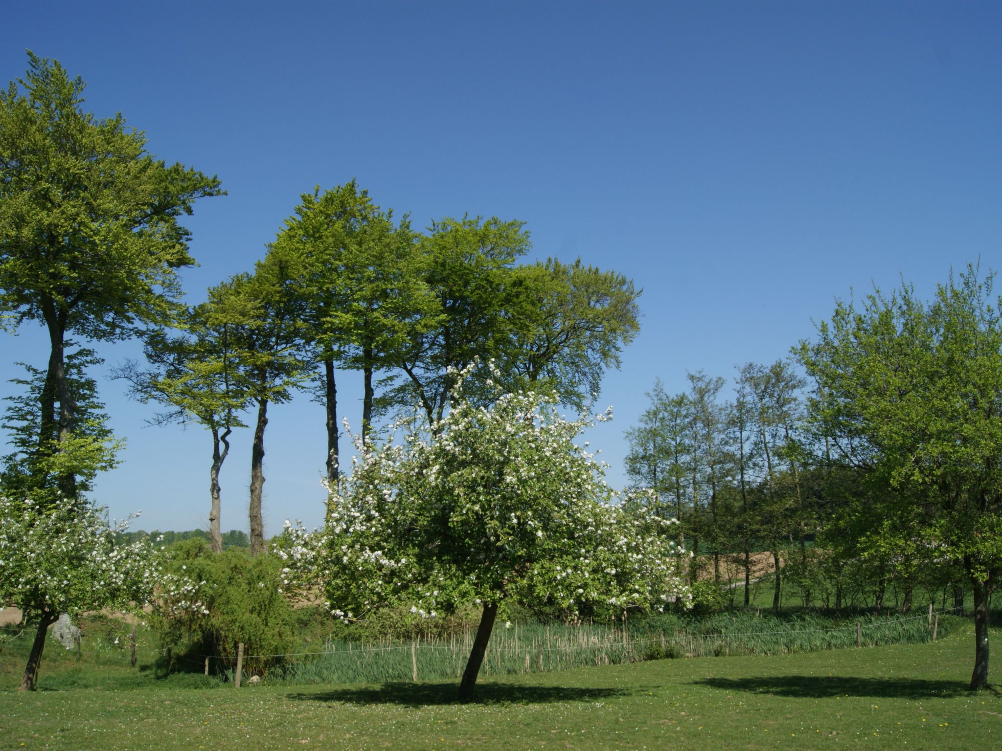 Charmante normannische Ferienwohnung Les chataigniers 2 Zimmer-Binnen