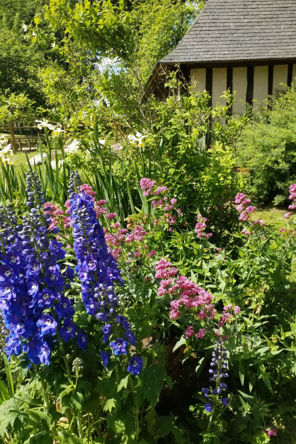 Charmante normannische Ferienwohnung Les chataigniers 2 Zimmer-Binnen