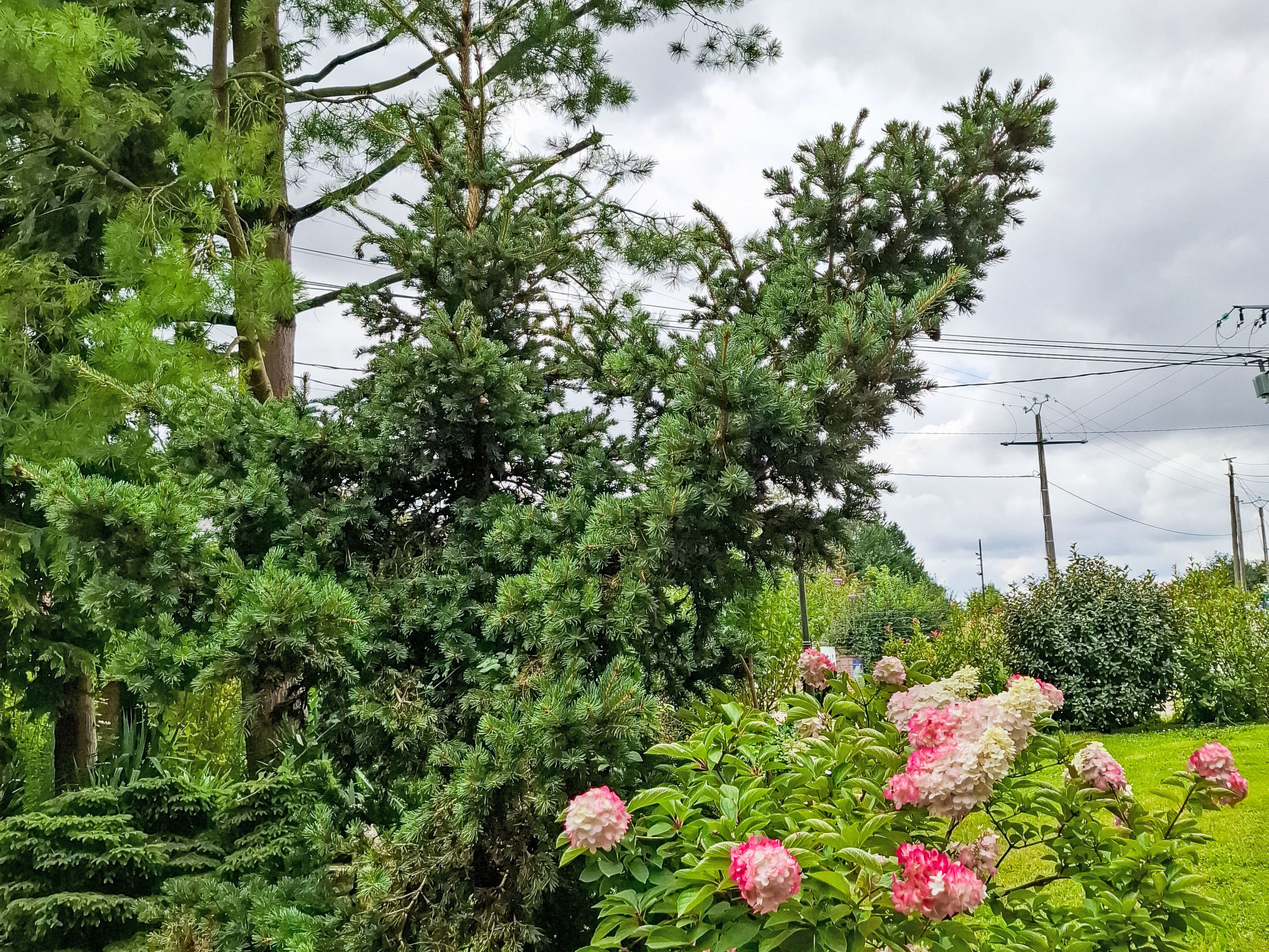 Mit großem Garten in La Prée - Buiten