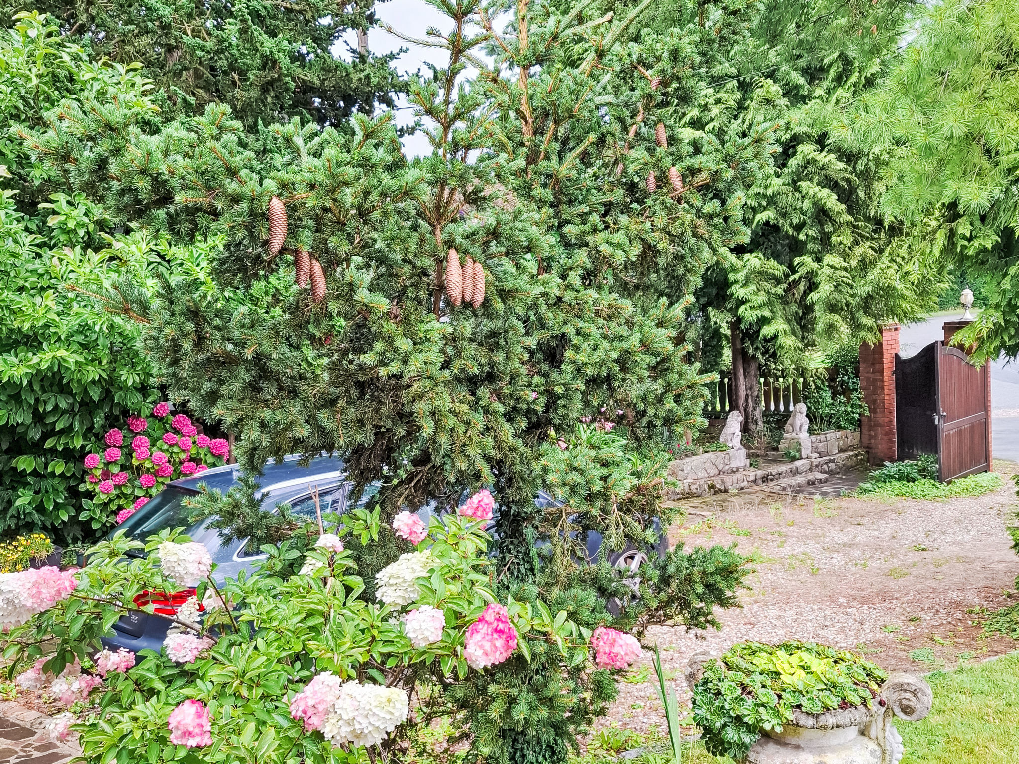 Mit großem Garten in La Prée