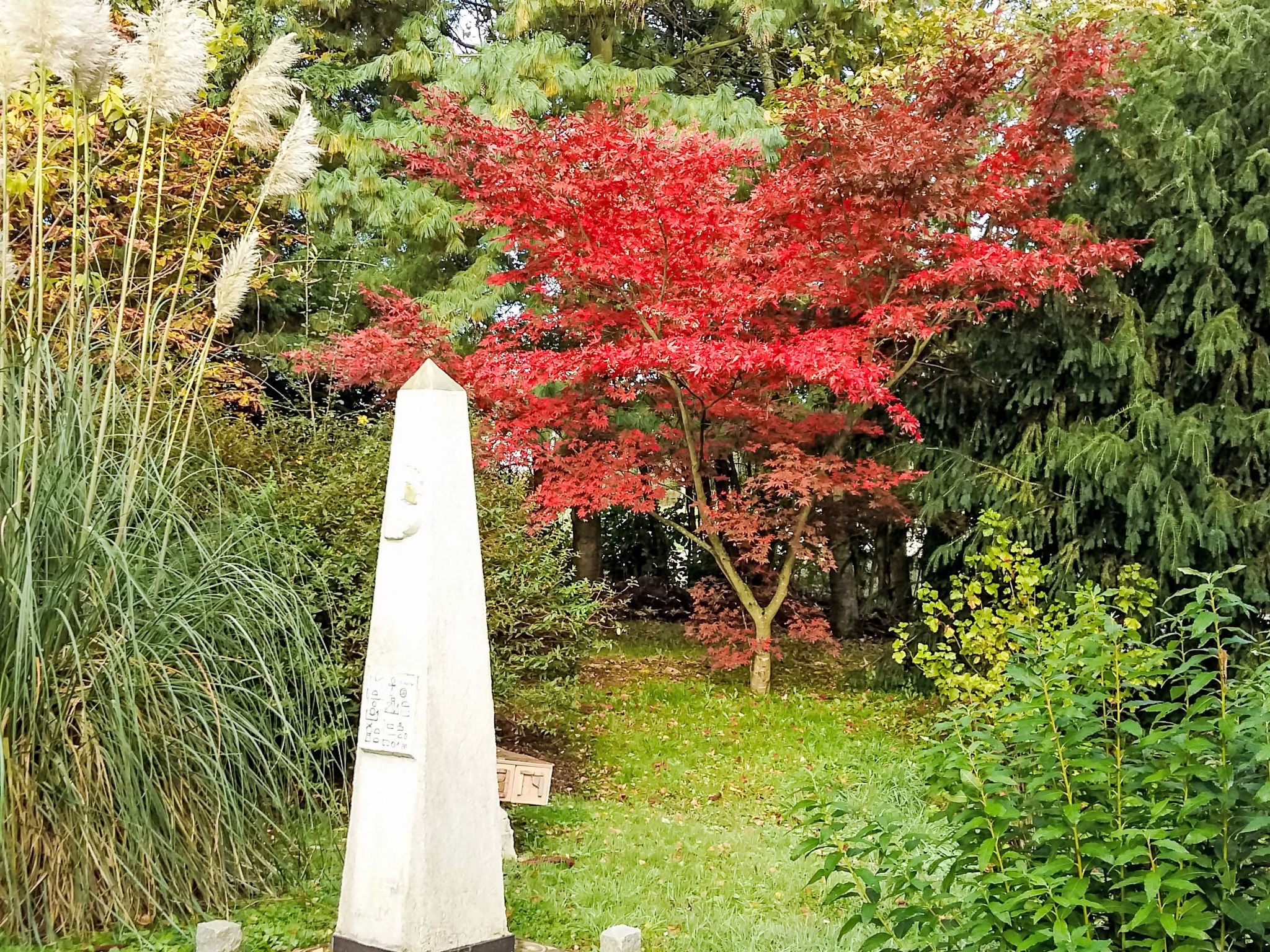 Mit großem Garten in La Prée - Buiten