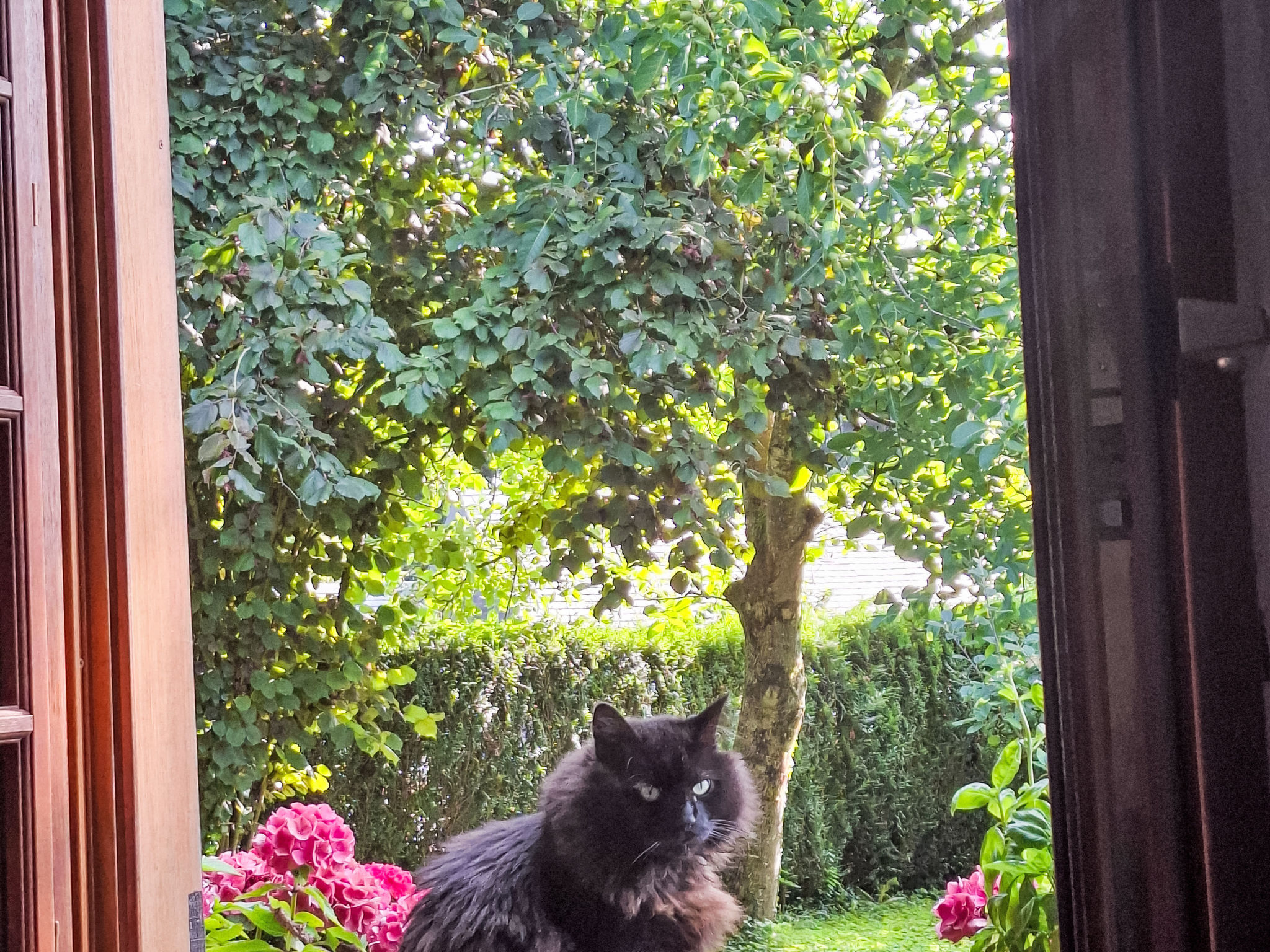 Mit großem Garten in La Prée - Buiten