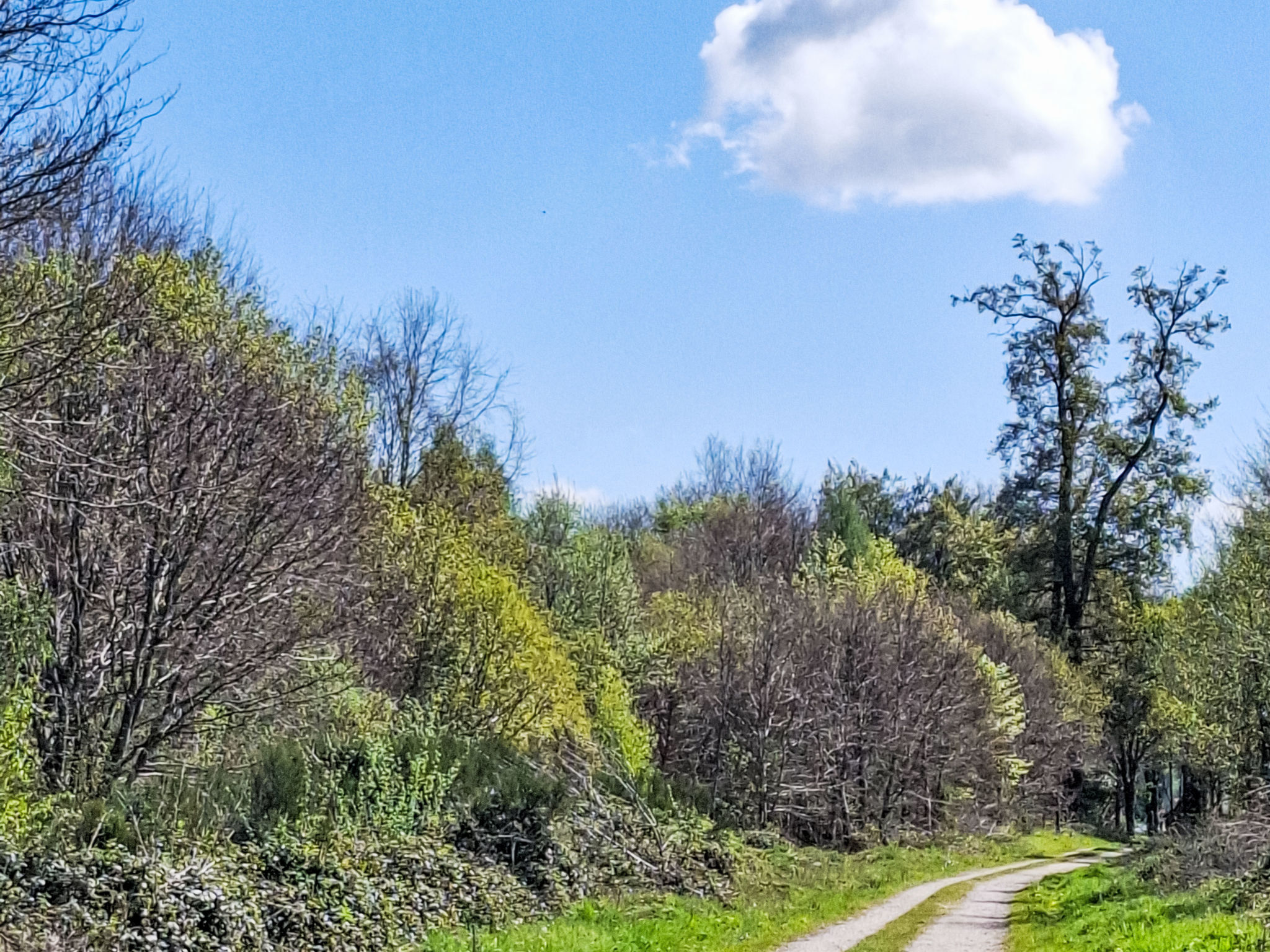 Mit großem Garten in La Prée - Buiten