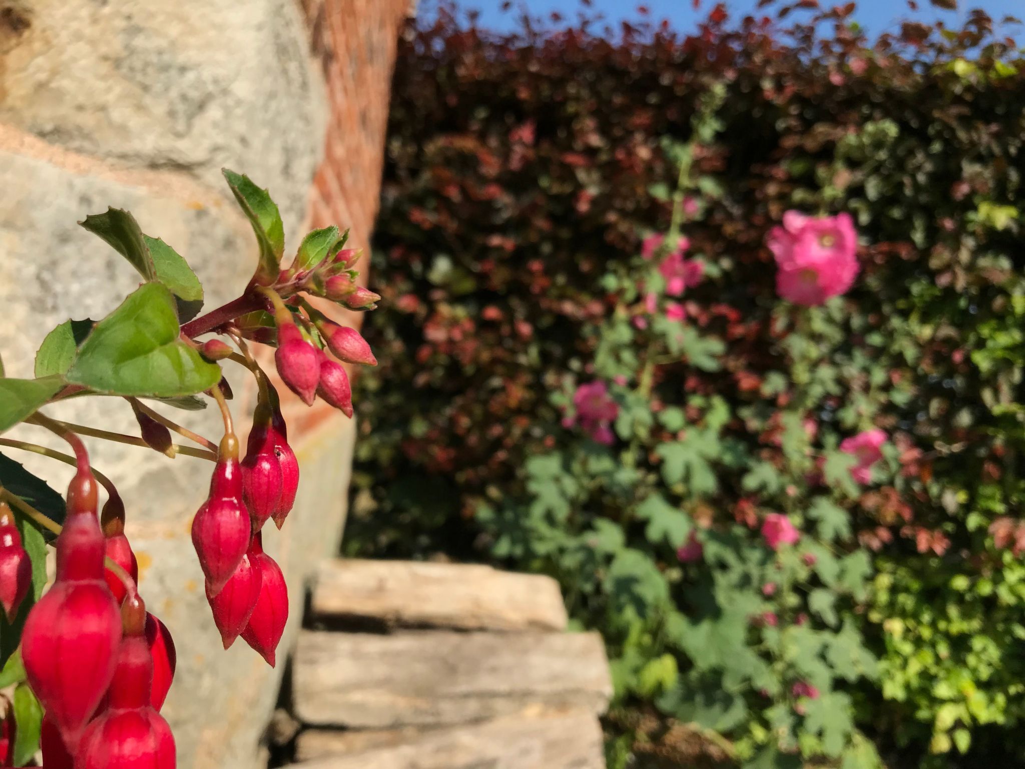 Unterkunft auf dem Bauernhof "La printanière" (Die Frühlingsfrau)-Buiten