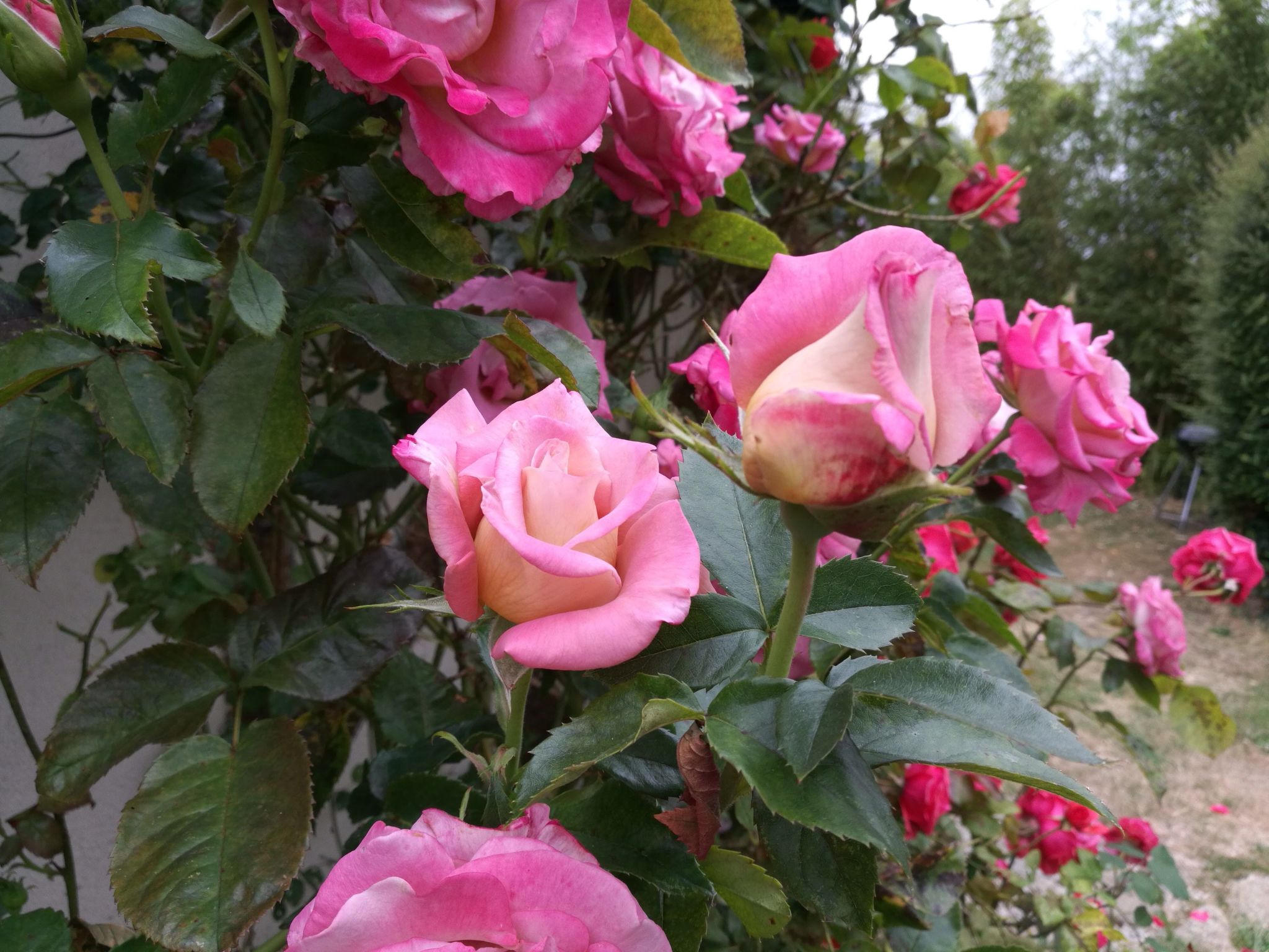 Fachwerkhaus "La Longère" Escapade Normande-Binnen