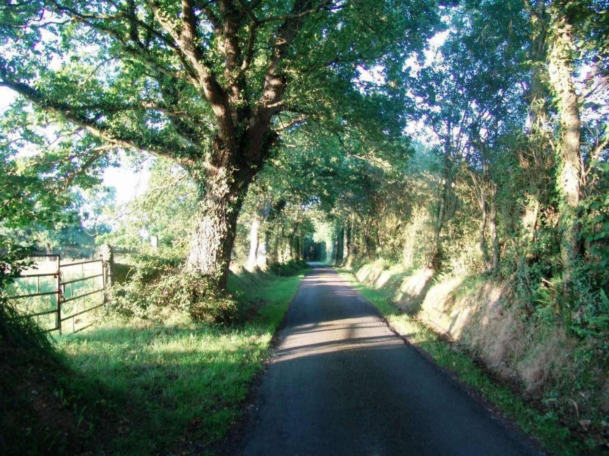 Fachwerkhaus "La Longère" Escapade Normande-Binnen