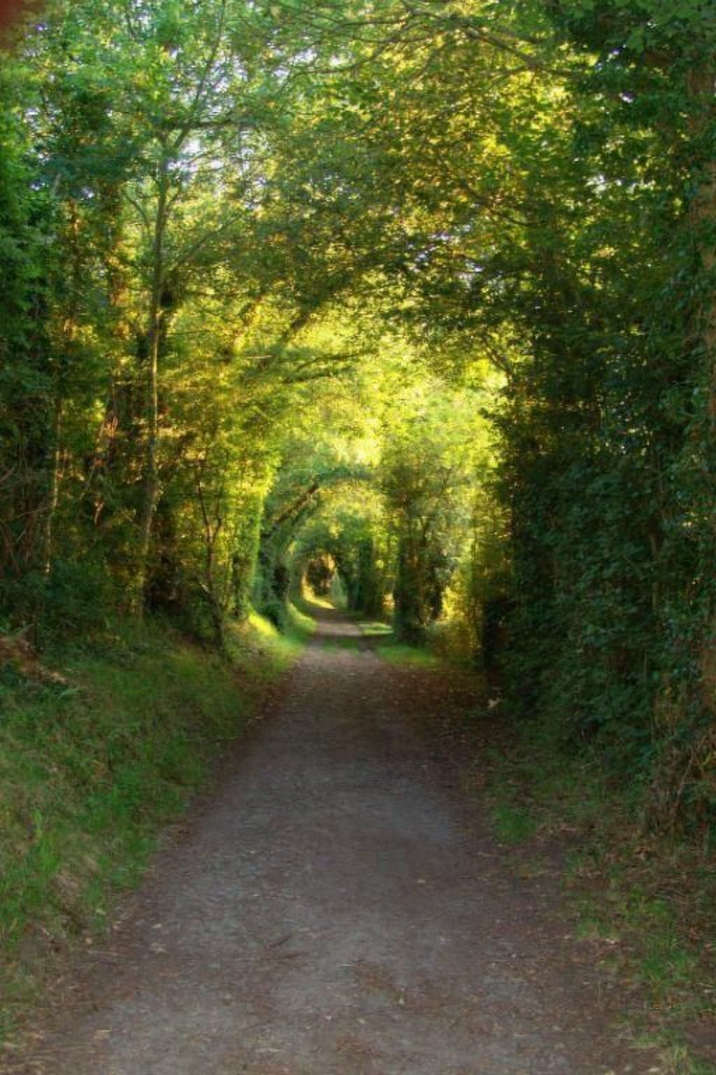 Fachwerkhaus "La Longère" Escapade Normande-Binnen