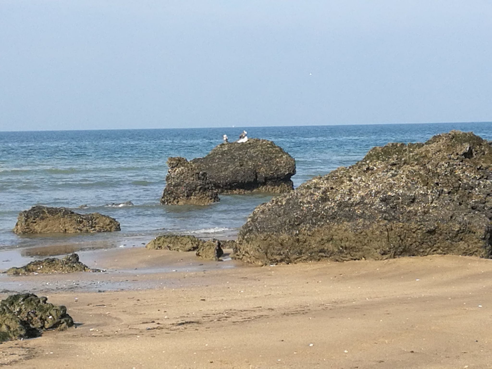 Fachwerkhaus "La Longère" Escapade Normande-Binnen