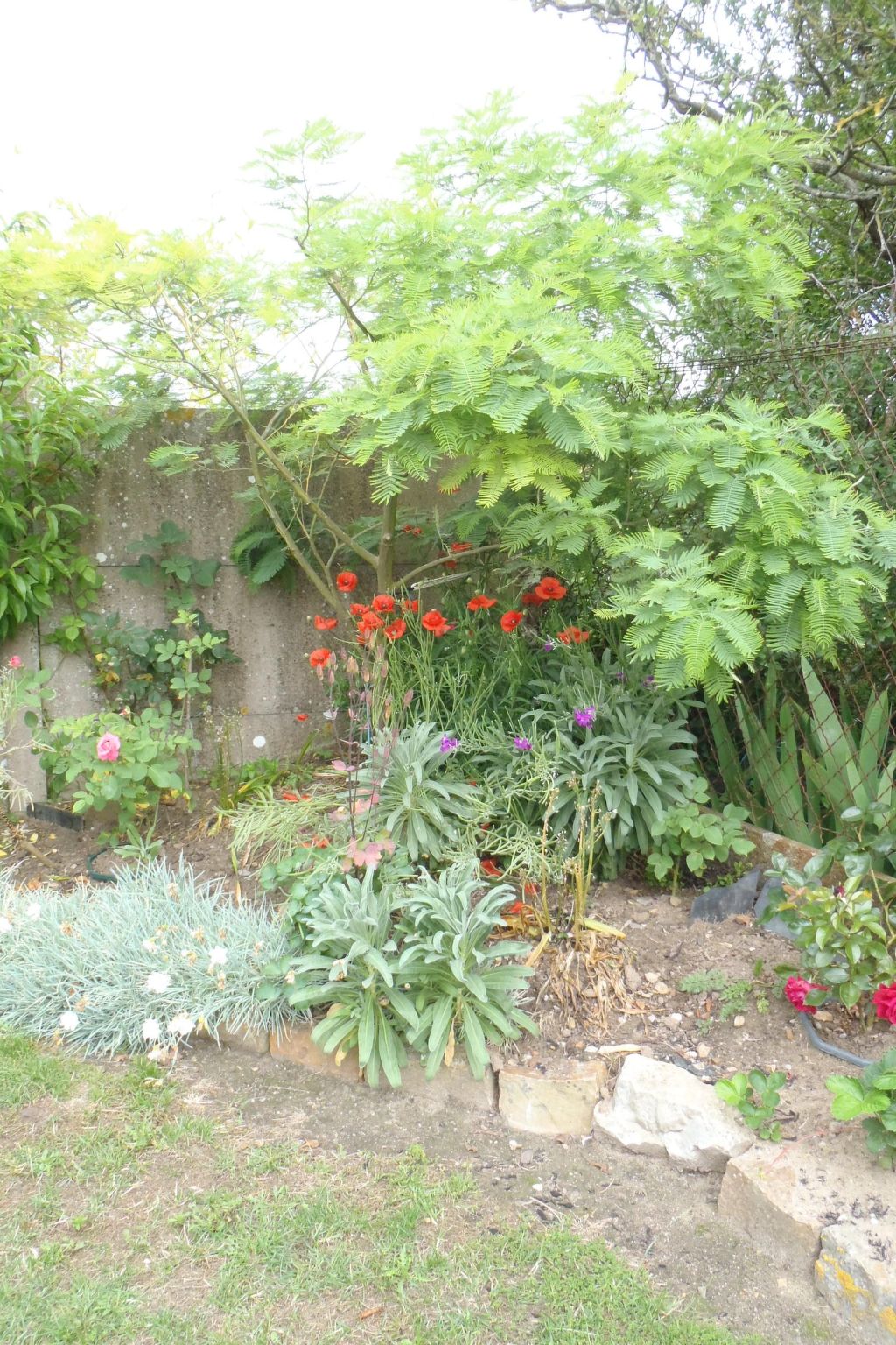 Haus Havre in Portbail-Binnen