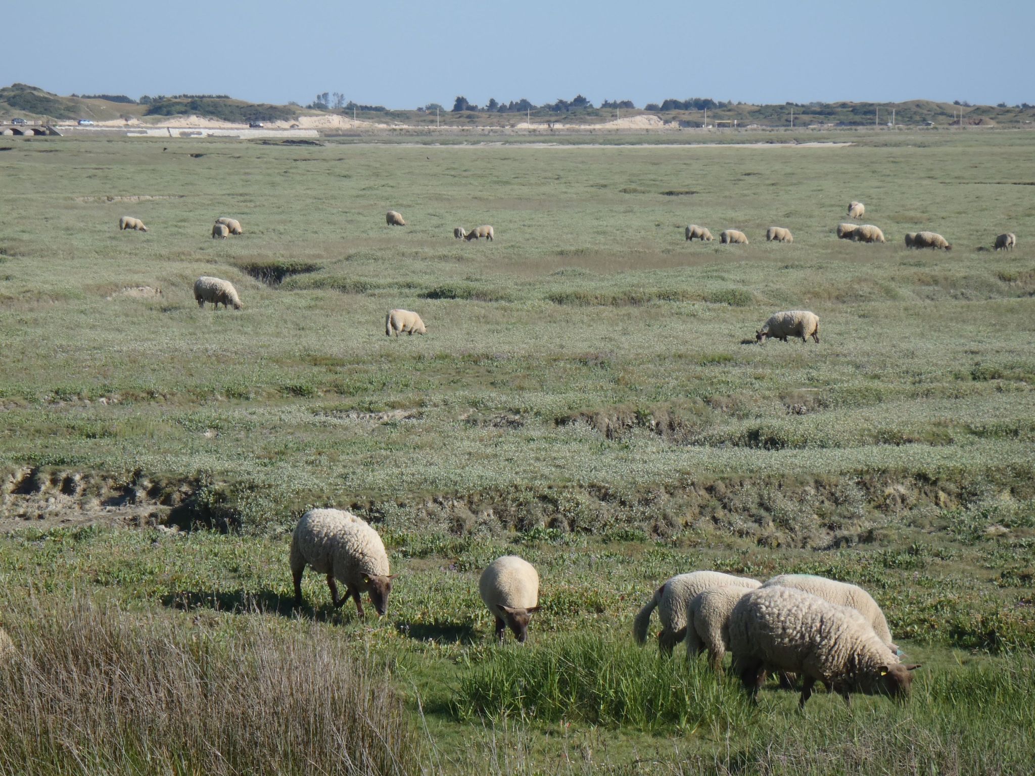 Haus Havre in Portbail-Binnen