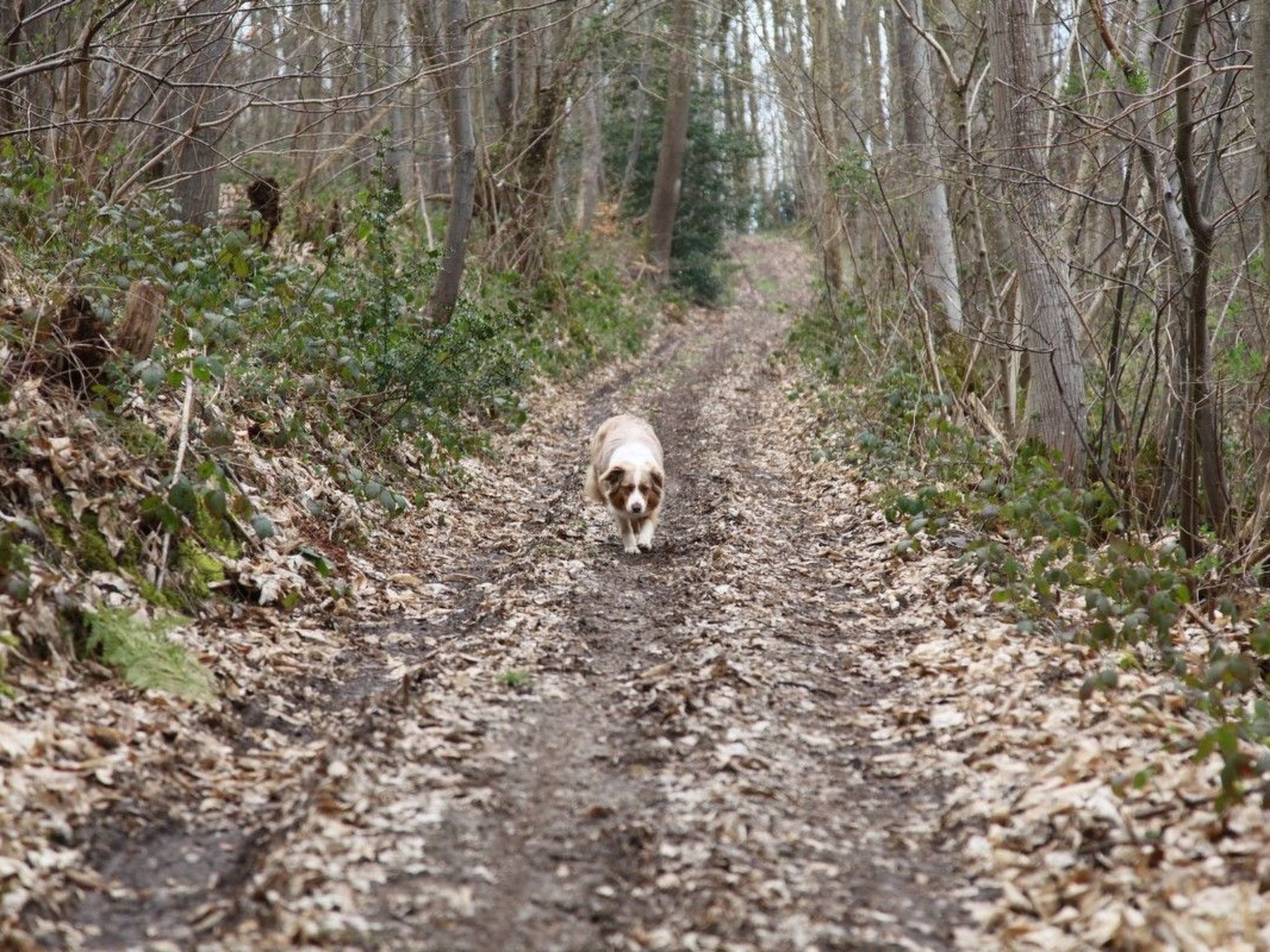 "L'Etable d'Emile" (Stall von Emile)-Inside